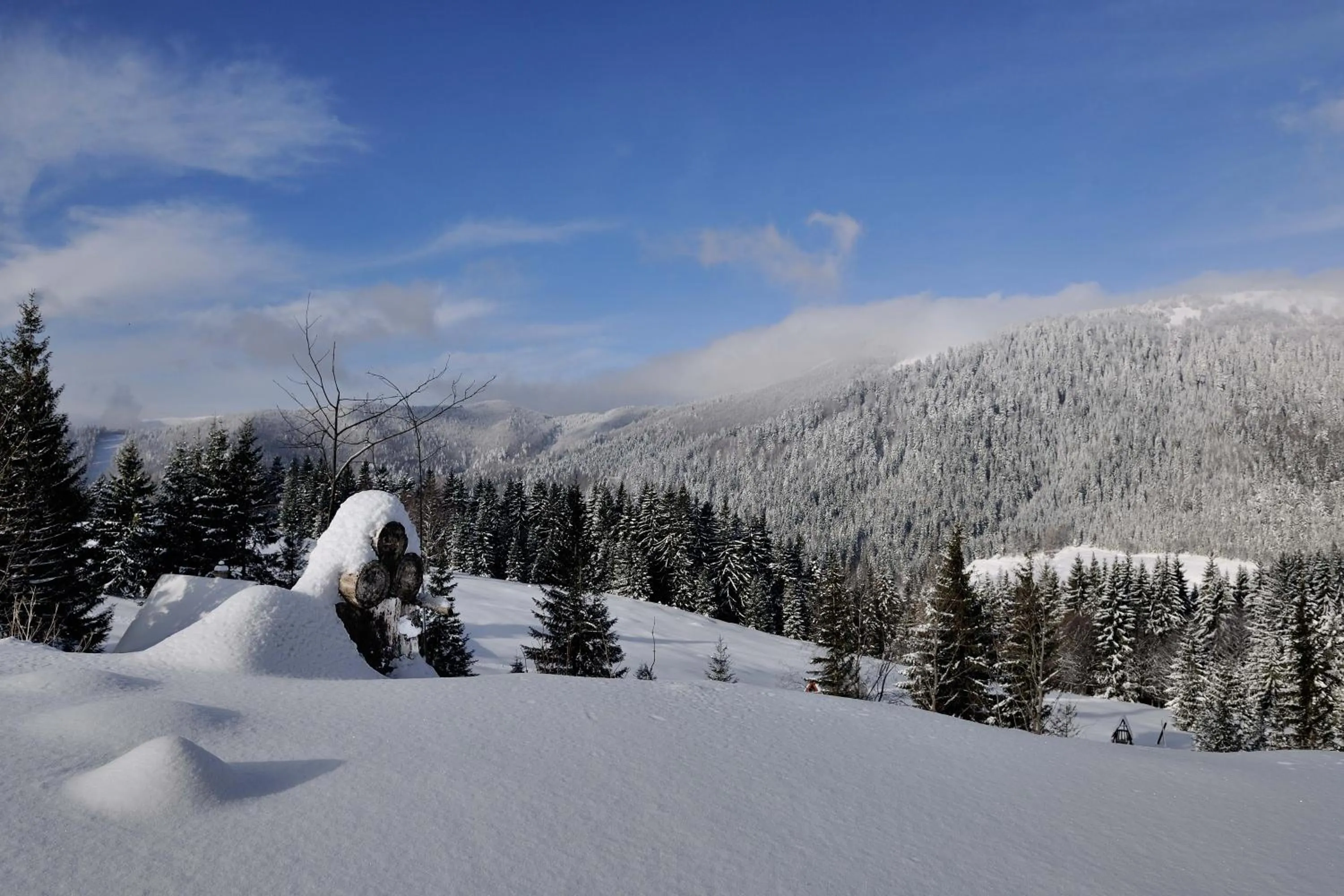 Area and facilities in Villa Gloria Rooms & Apartments