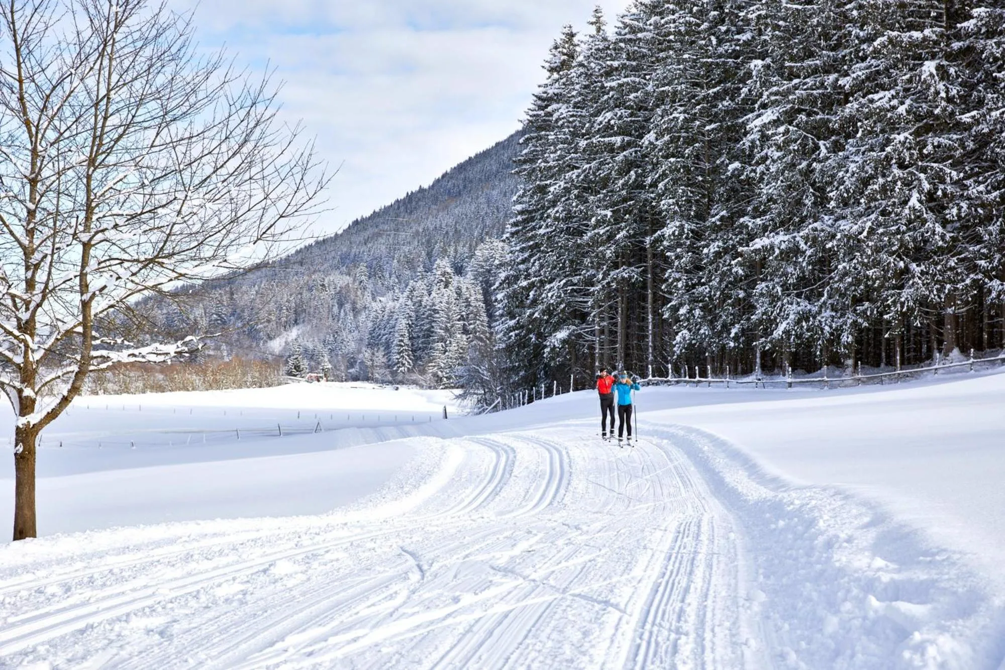 Winter in Wildkogel Resorts - DAS Wildkogel