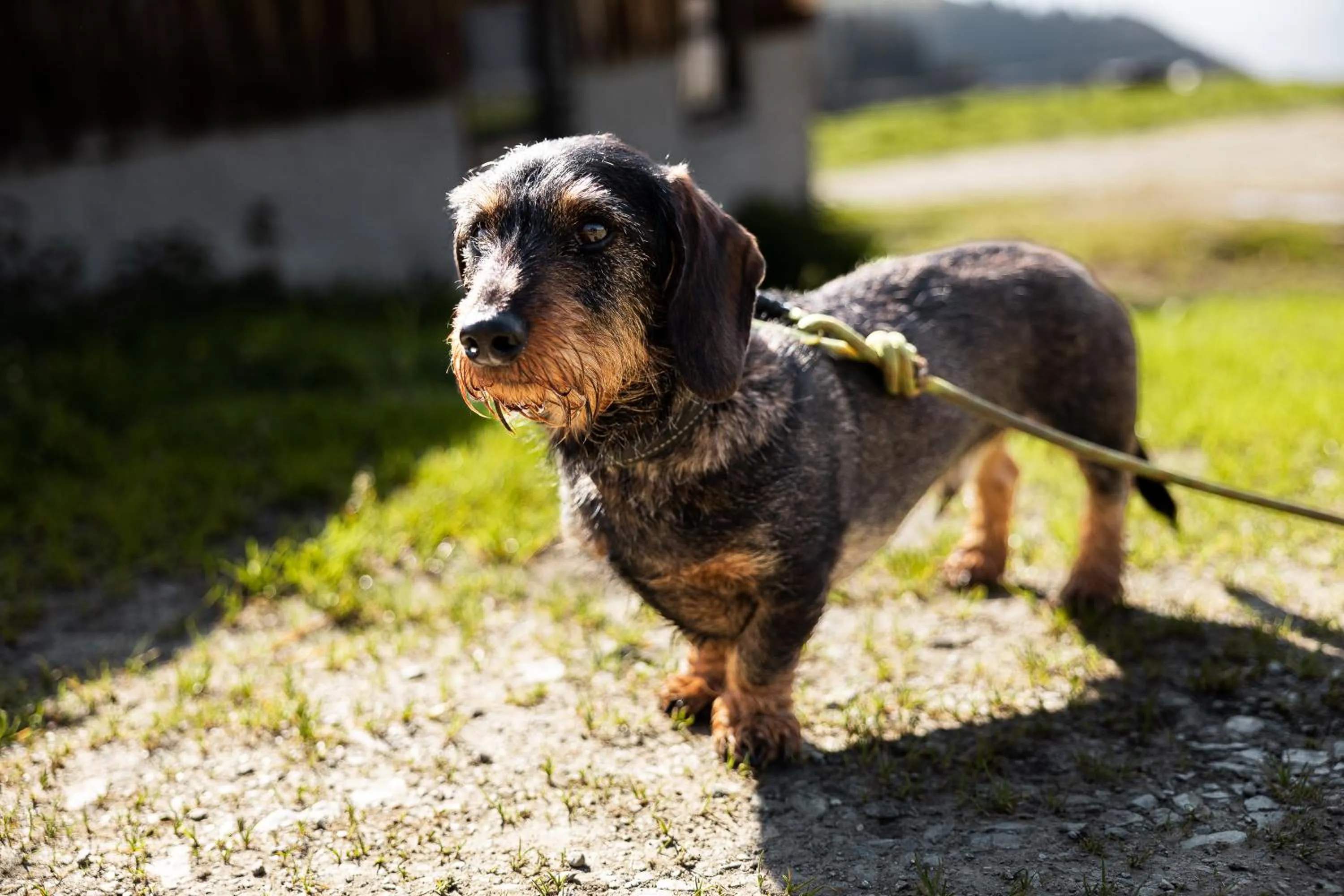 Wildkogel Resorts - DAS Wildkogel