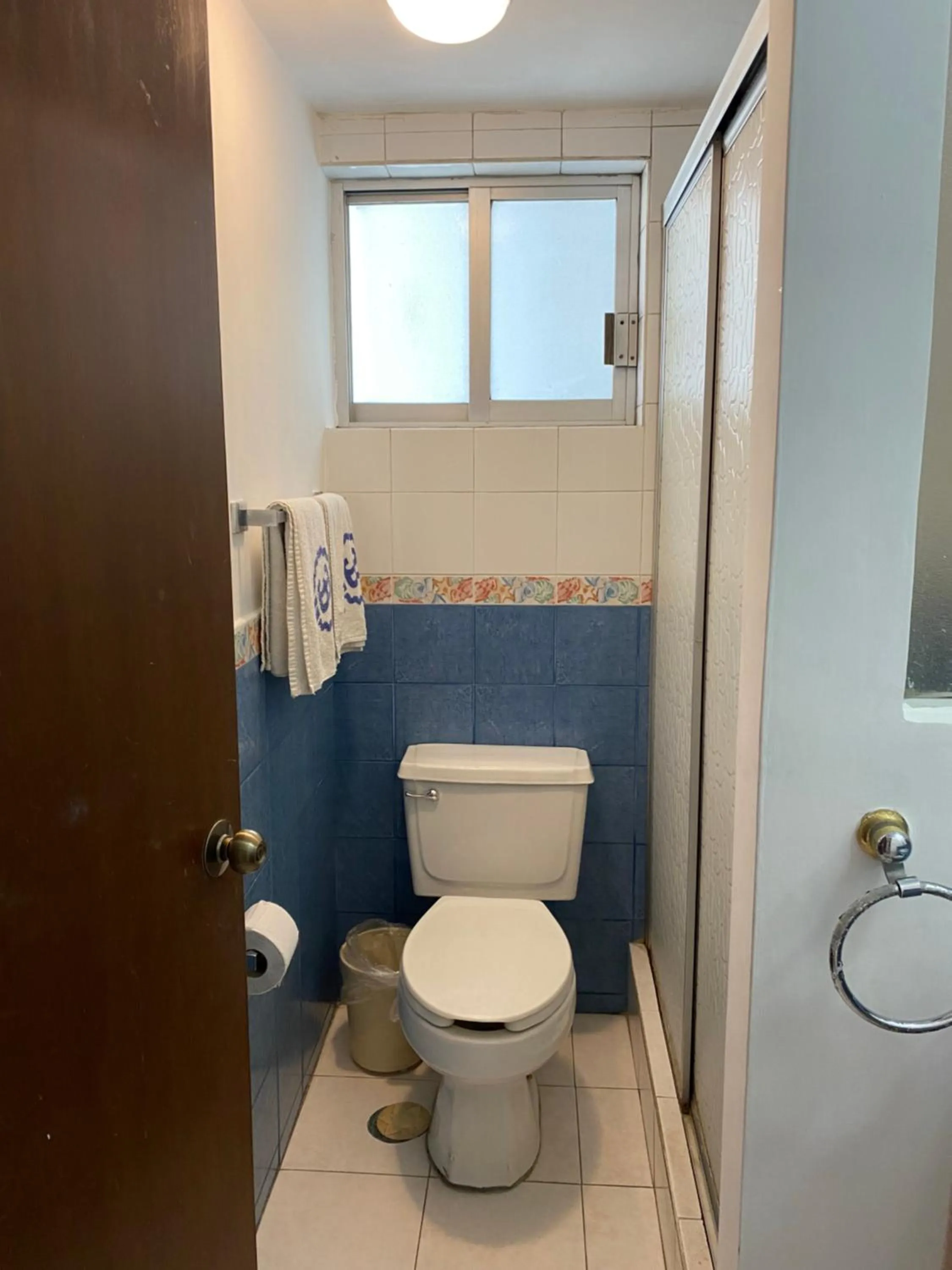 Shower in Hotel Suites Regina