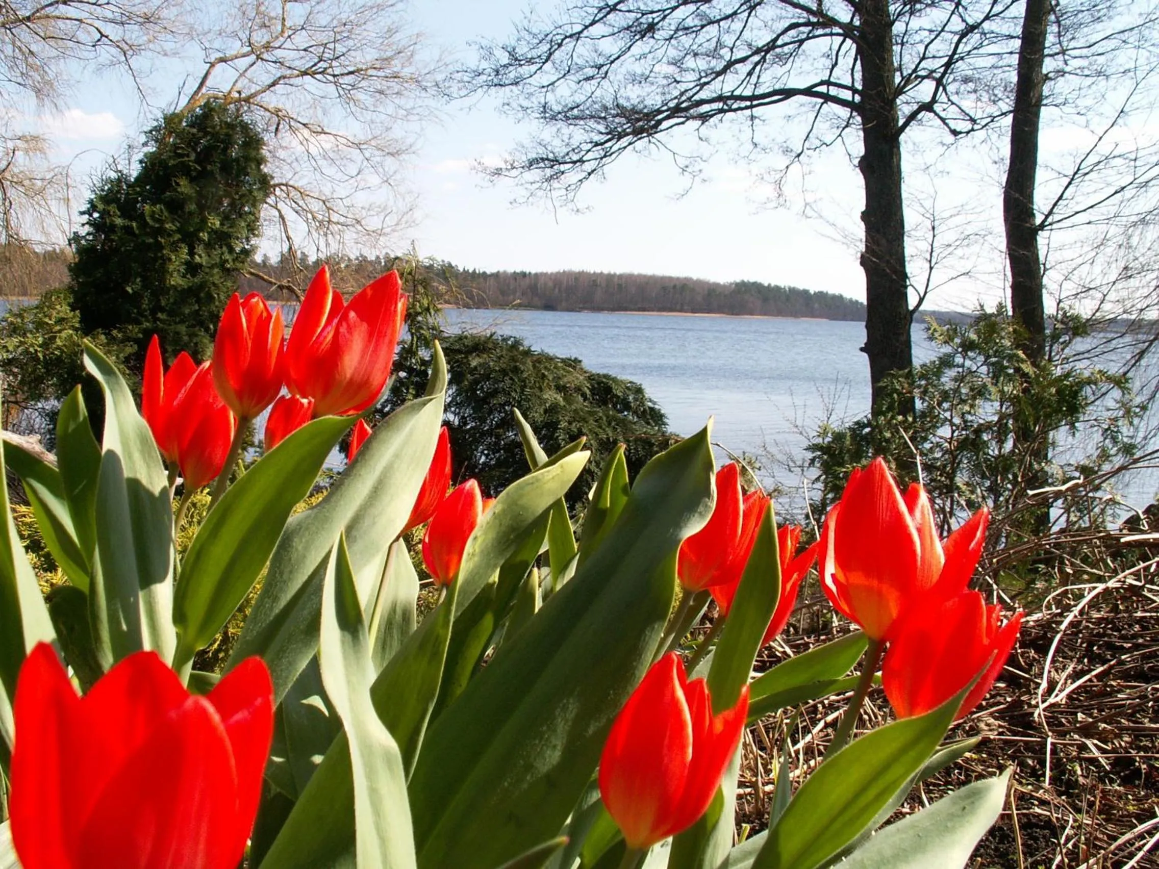 Spring in Galindia