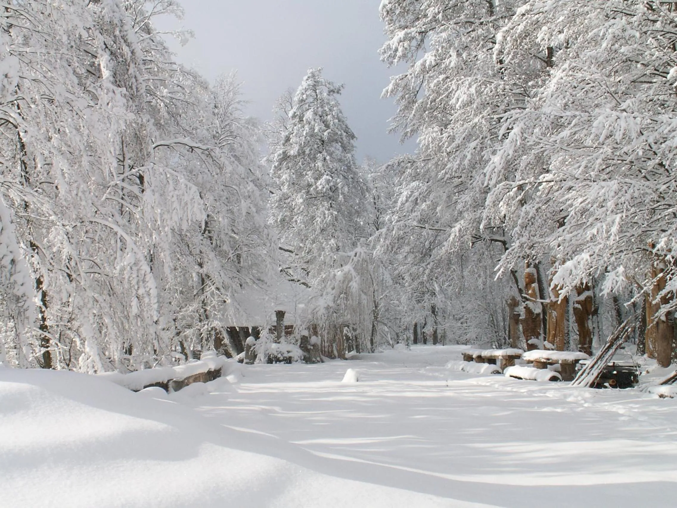 Winter in Galindia