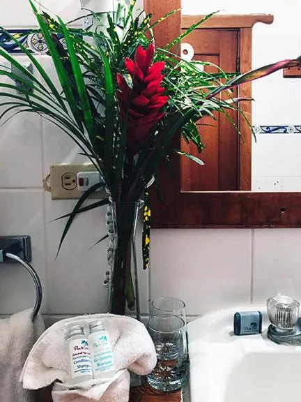 Decorative detail in Hotel Bocas del Toro