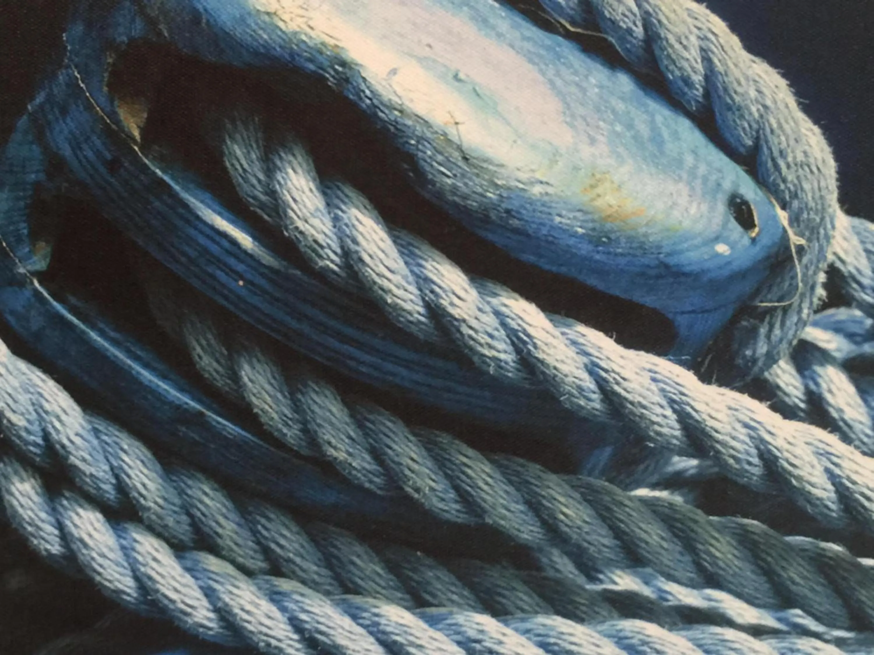 Decorative detail in Hotel Bocas del Toro