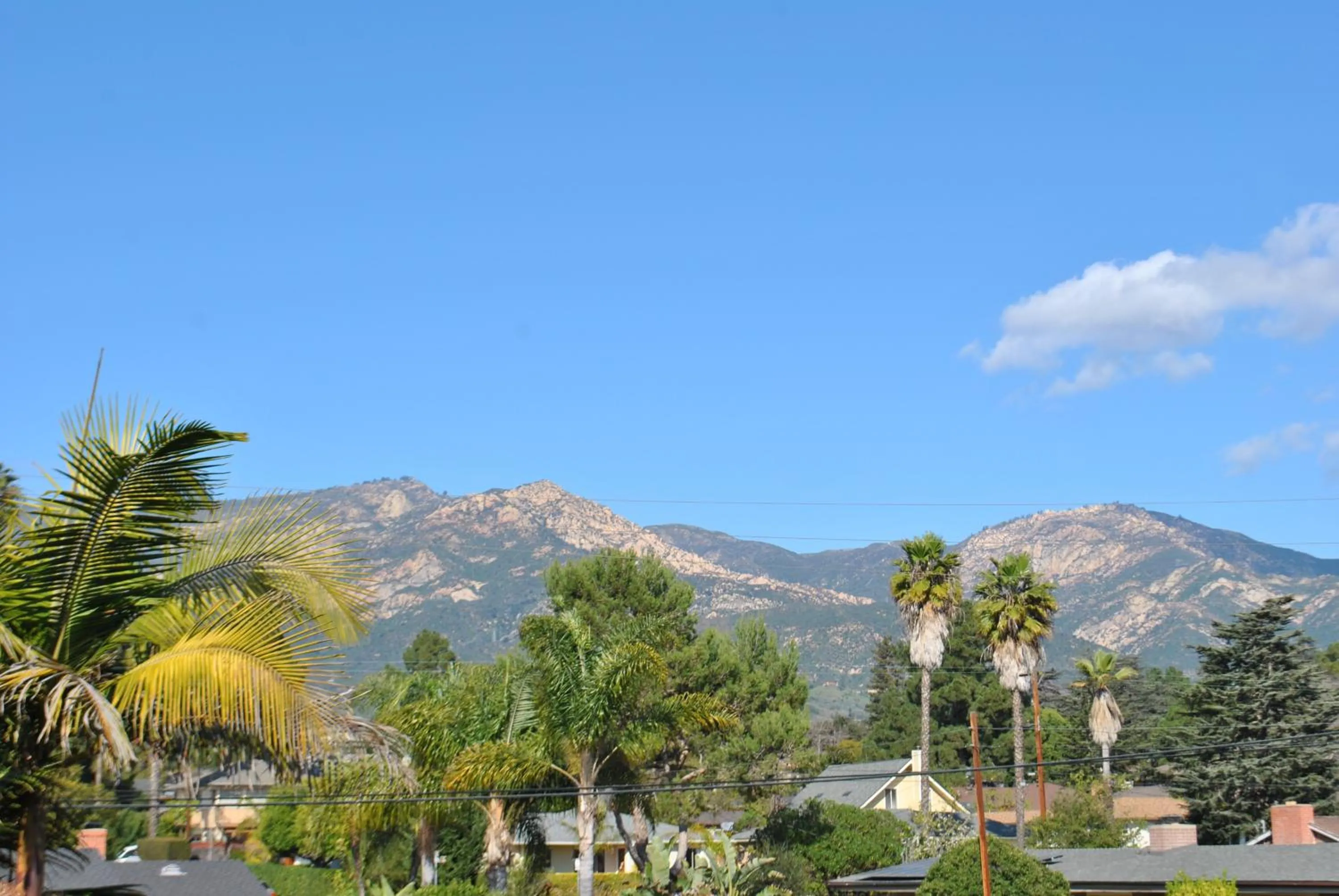 Other in Sunset Motel