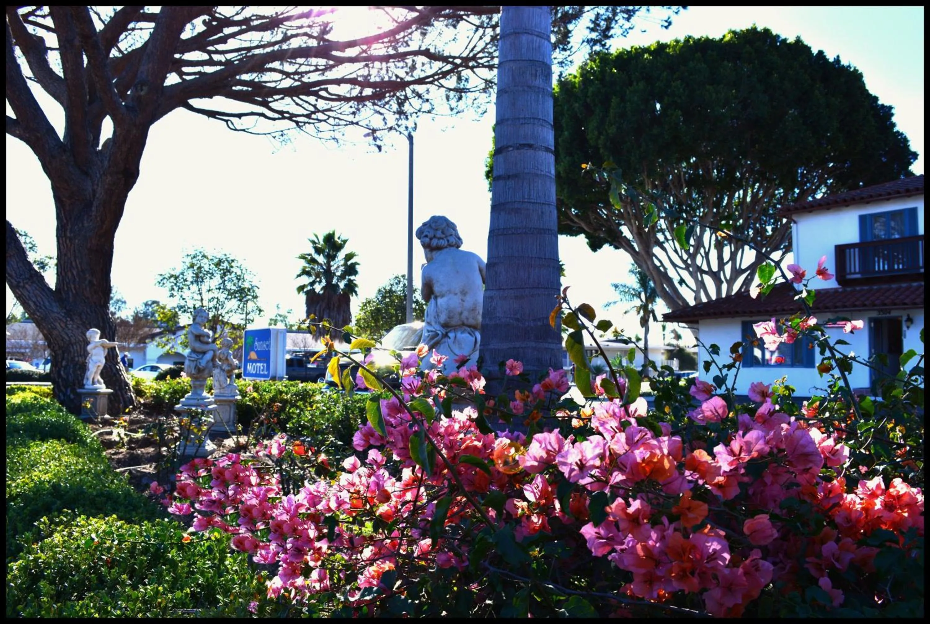 Other in Sunset Motel