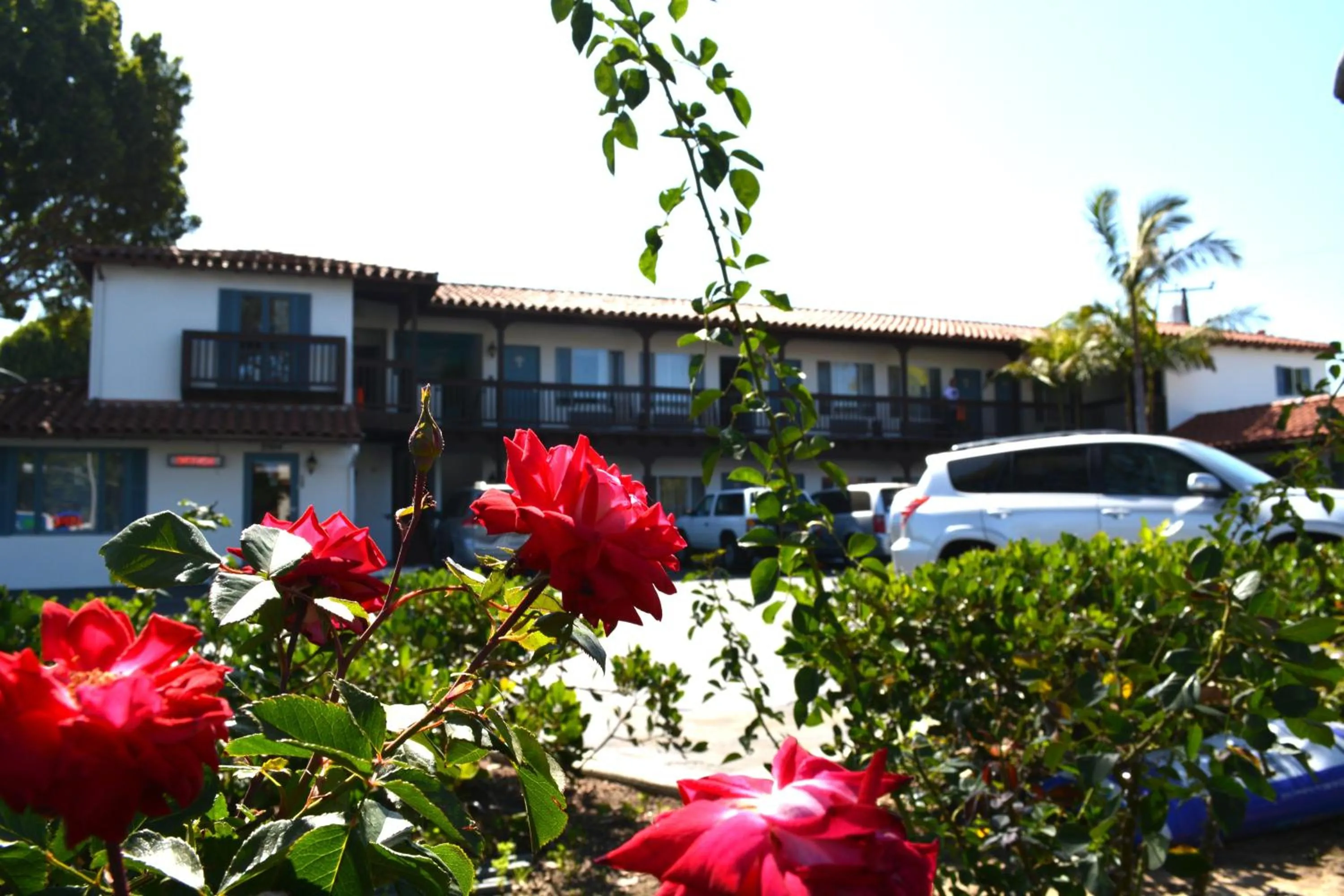 Facade/entrance in Sunset Motel