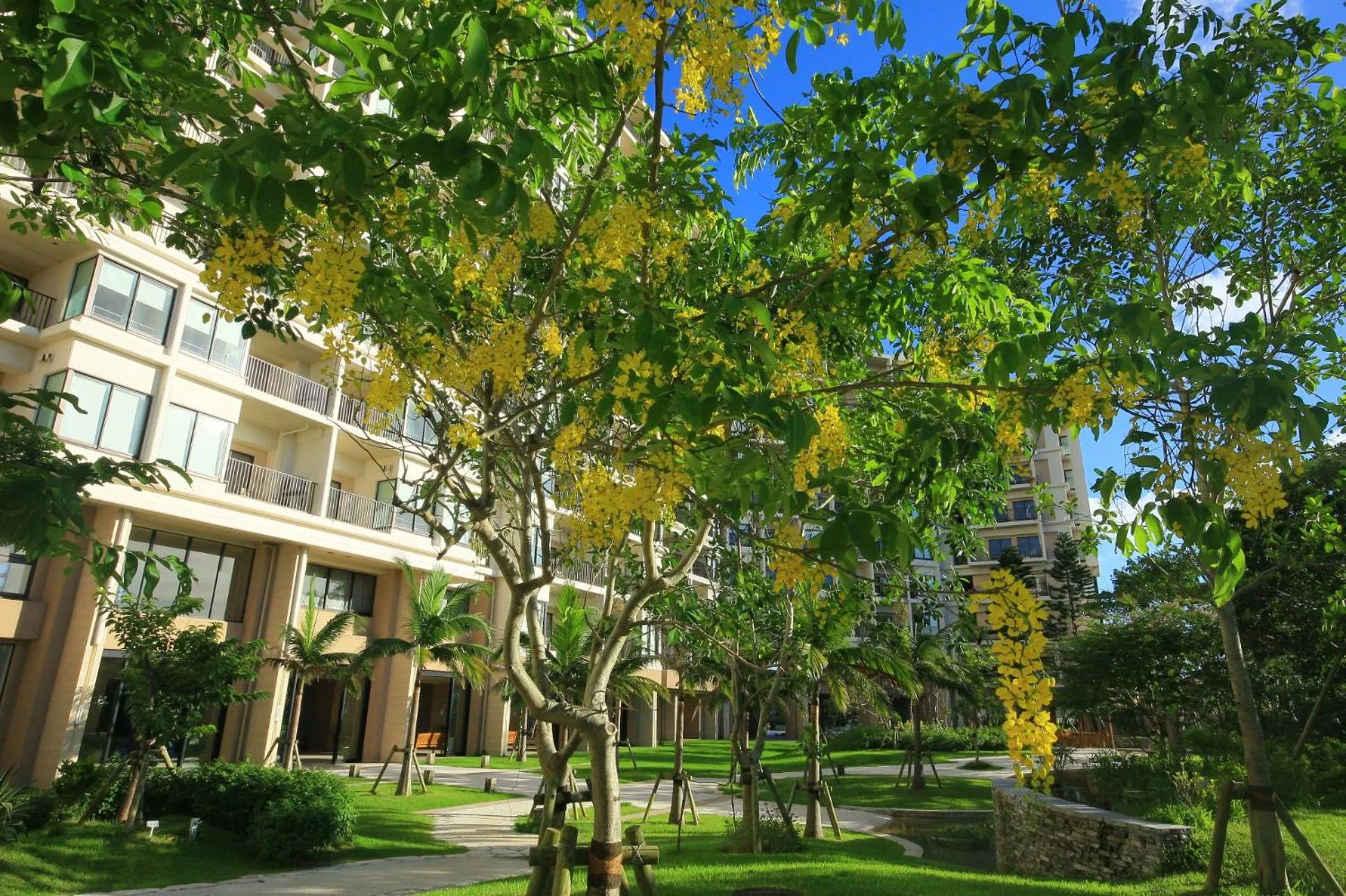 Natural landscape in Moon Ocean Ginowan Hotel & Residence