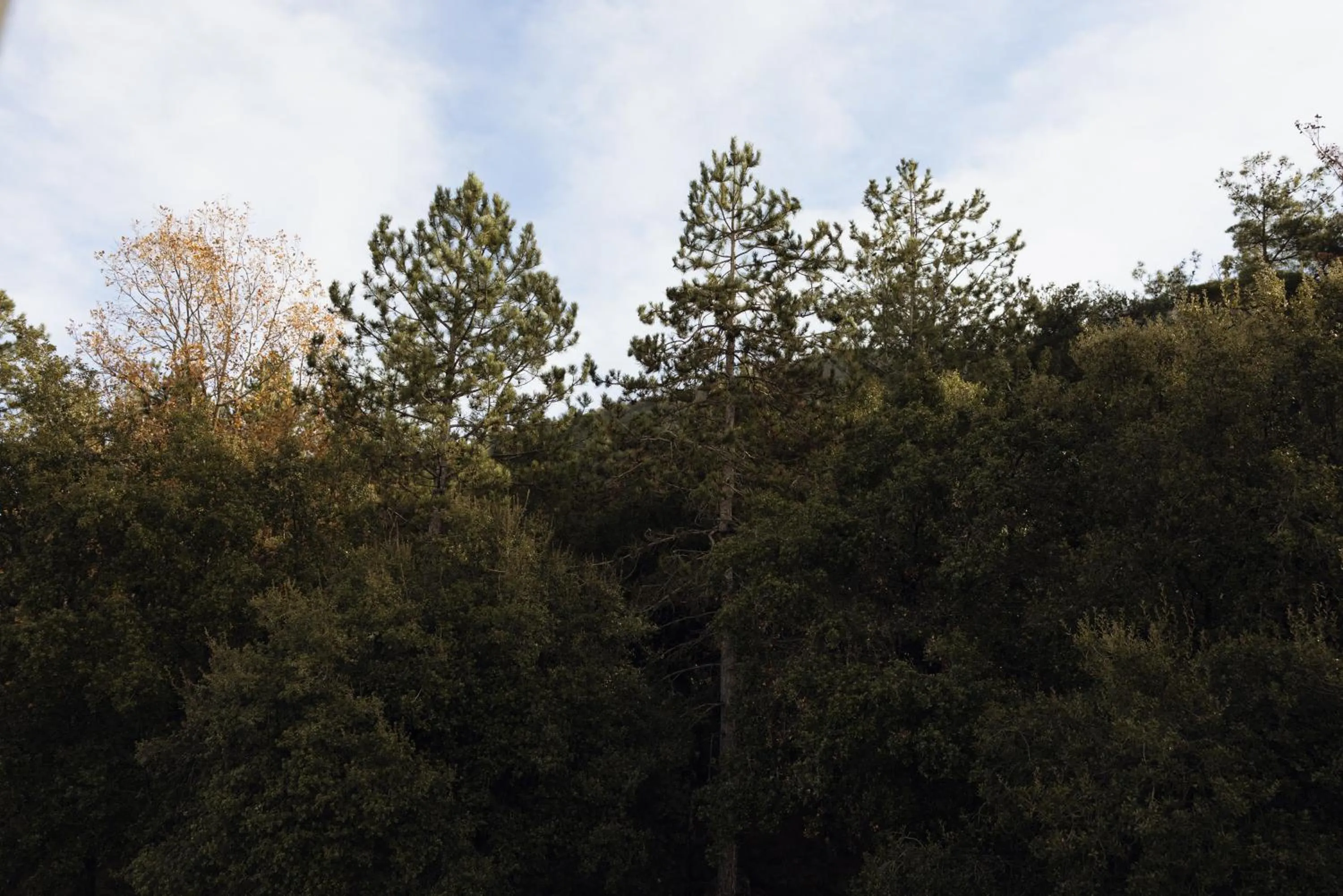 View (from property/room) in Agnanti Hotel