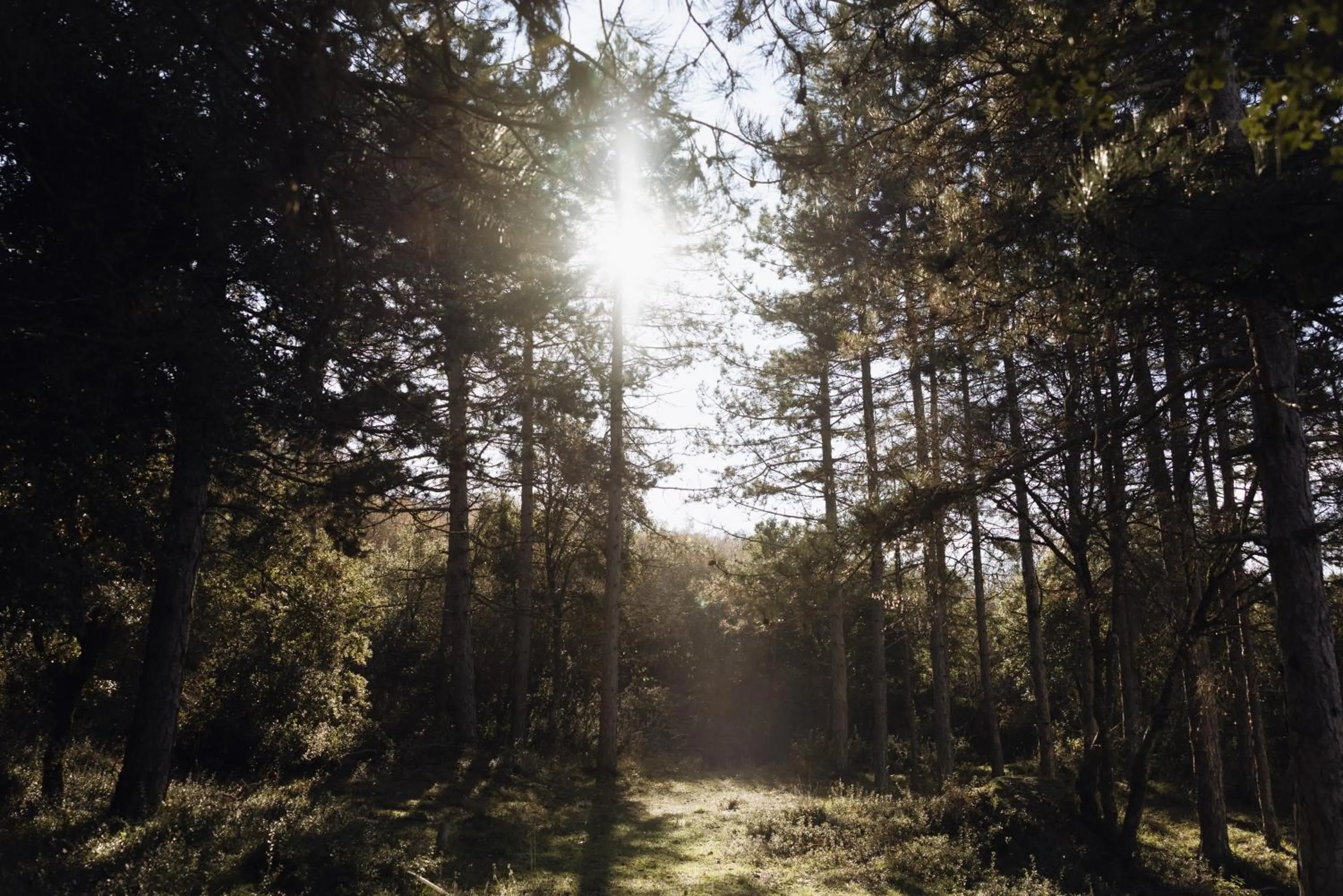 Other in Agnanti Hotel