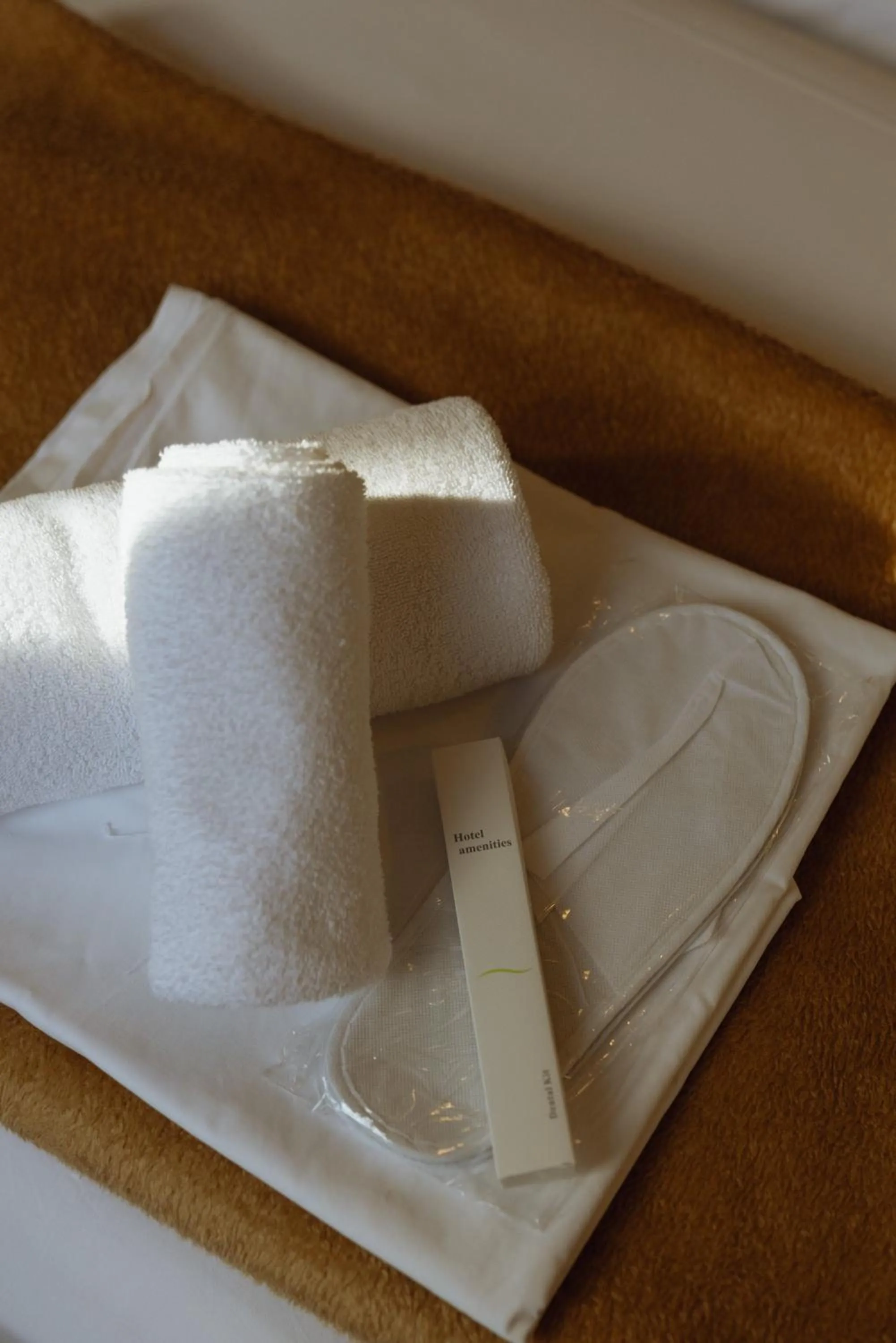 Business facilities in Agnanti Hotel