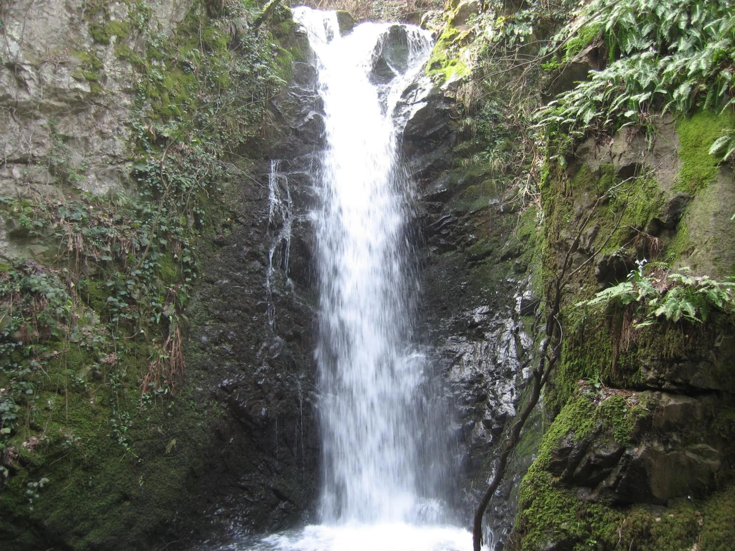 Other in Termal Elit Hotel