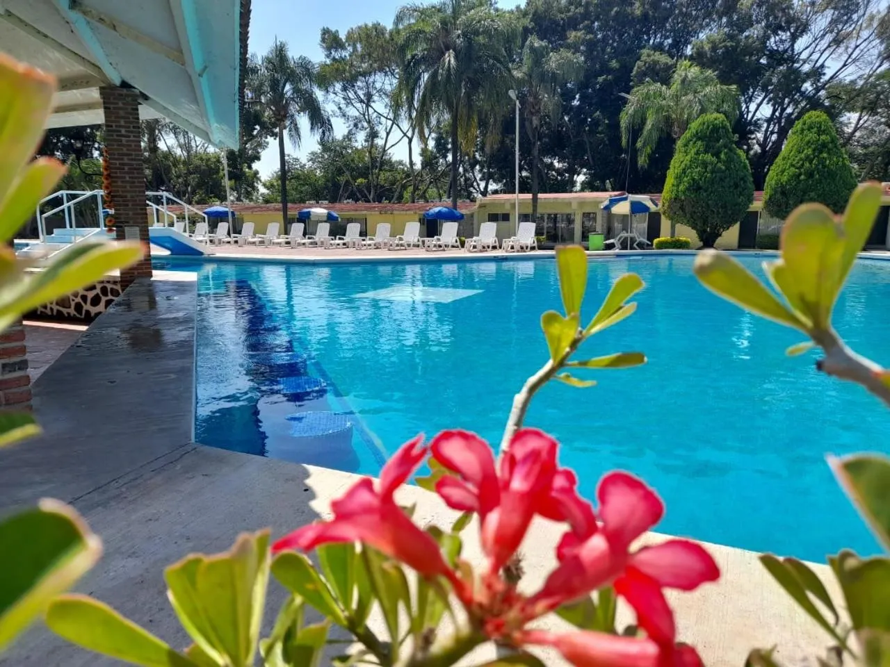 Property building in Hotel Teques Palace