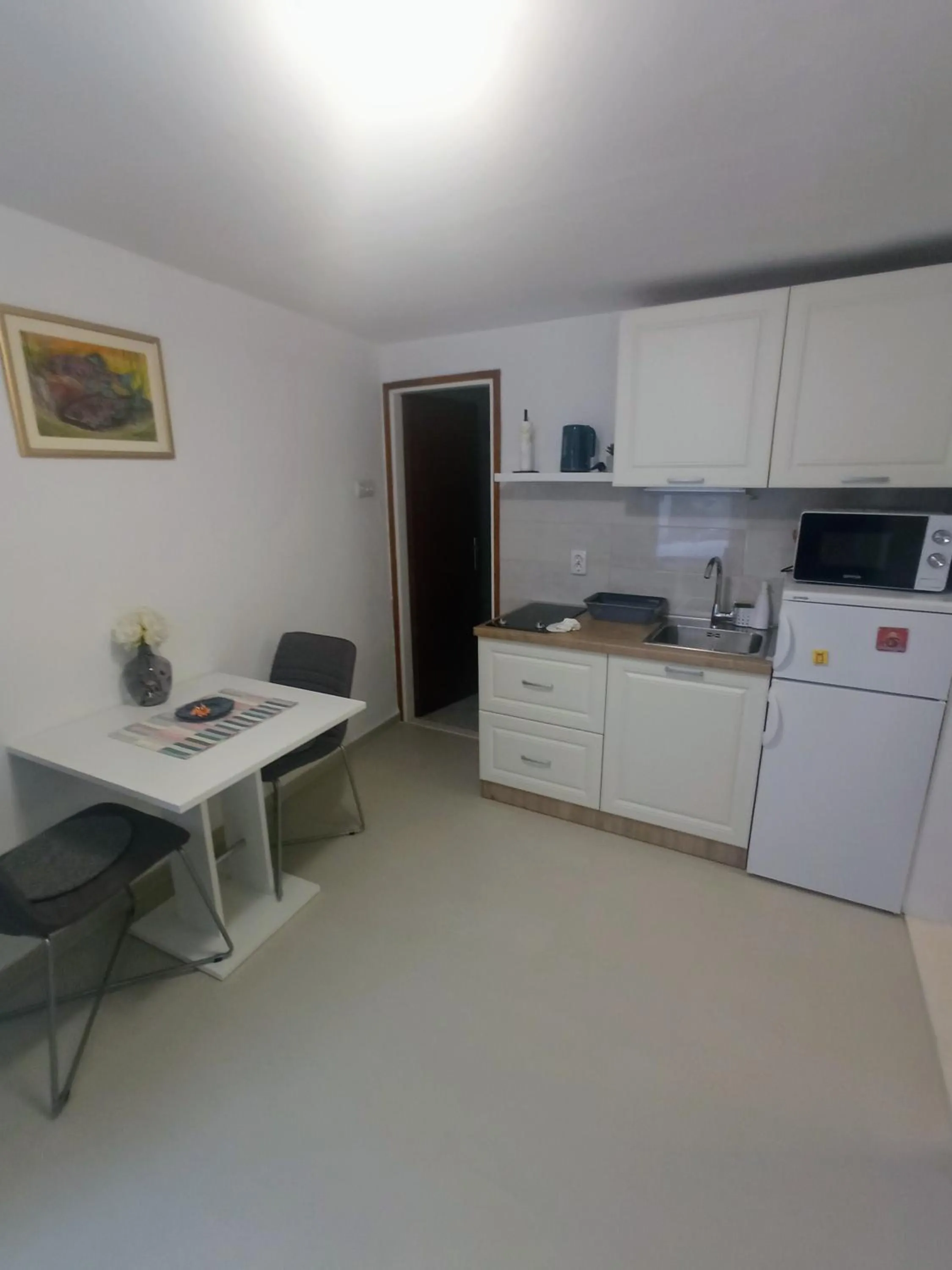 Kitchen or kitchenette in Apartments & room Ivica Split