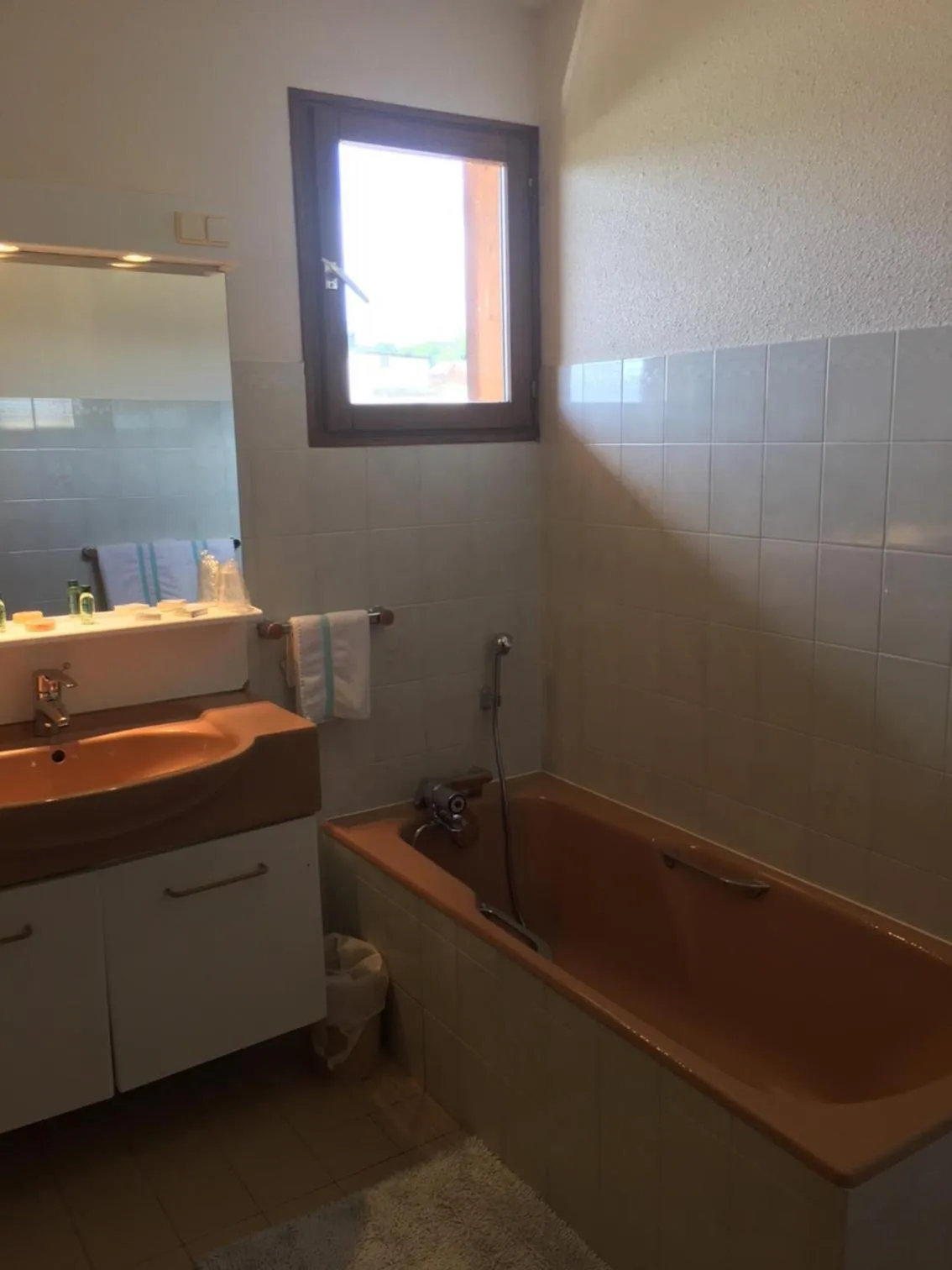 Hôtel Les Soldanelles