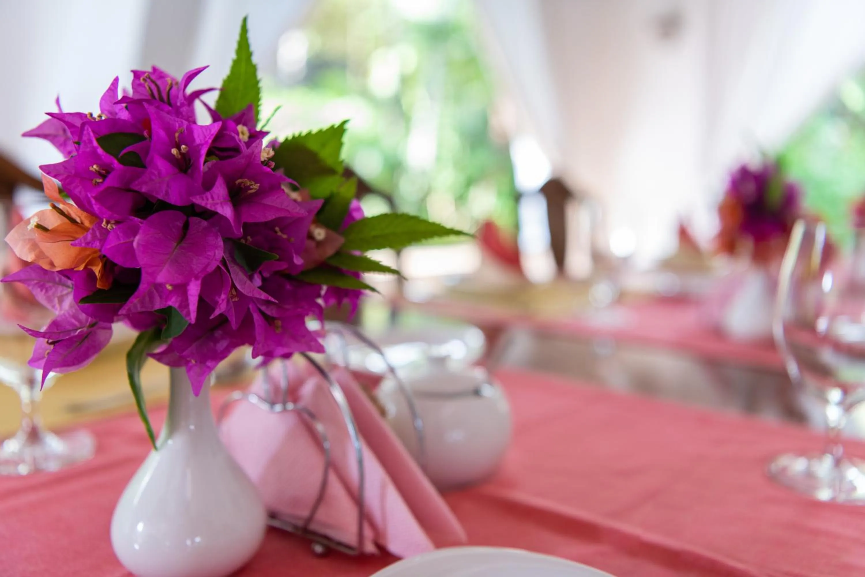 Restaurant/places to eat in Hotel Villa Malindi