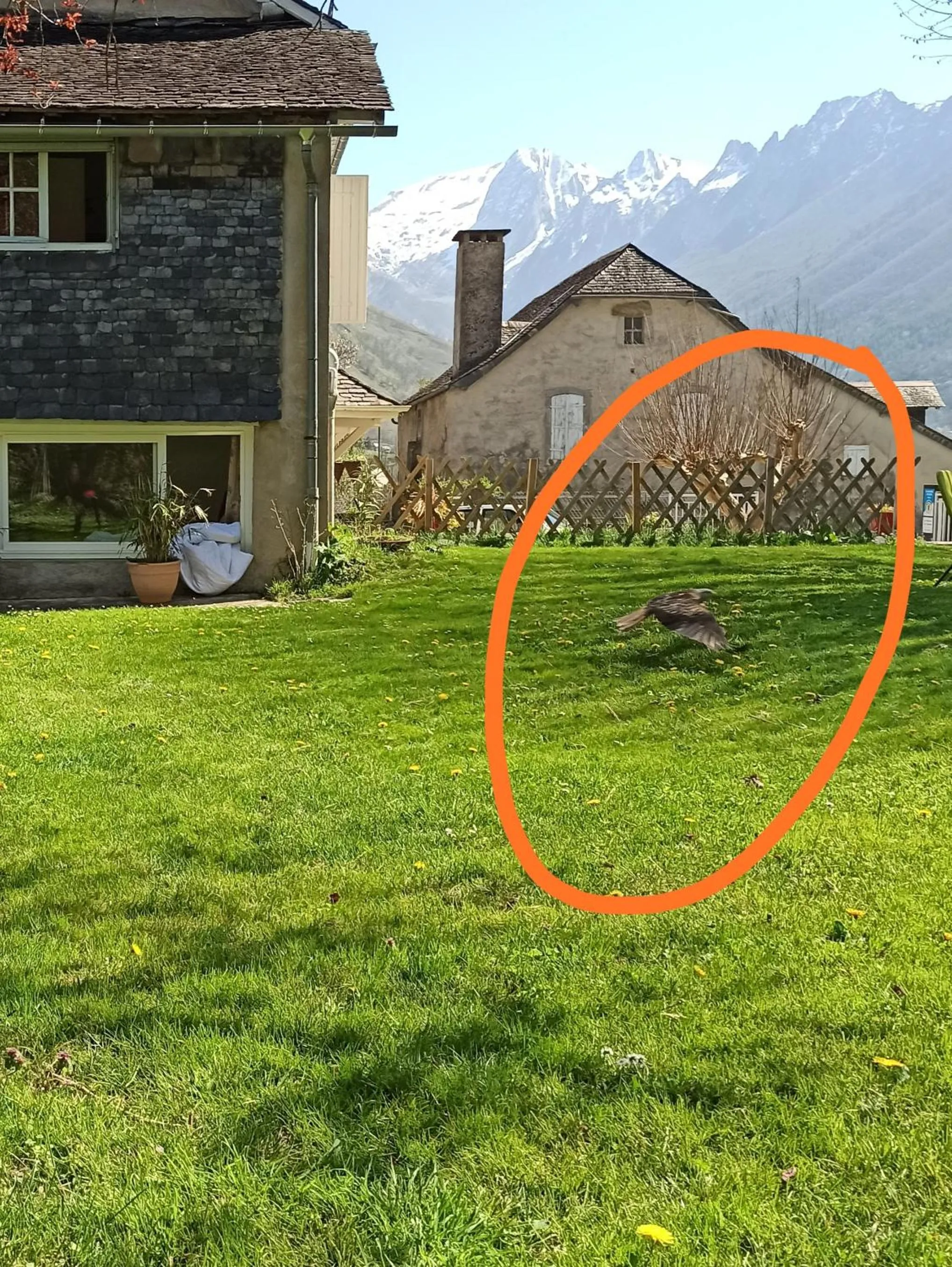 Garden view in La Maison de Jeanne