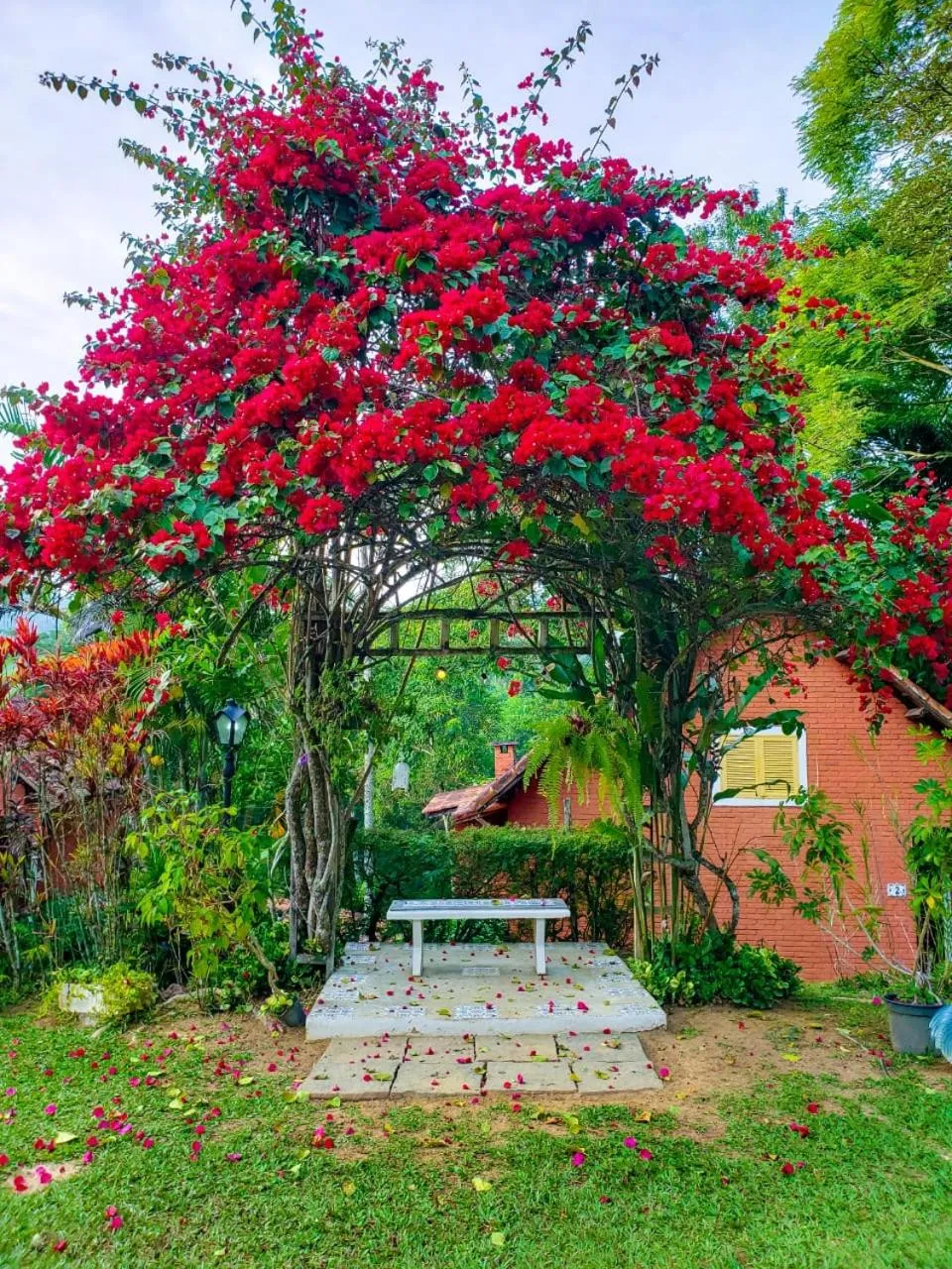 Natural landscape in Pousada Mirante do Penedo