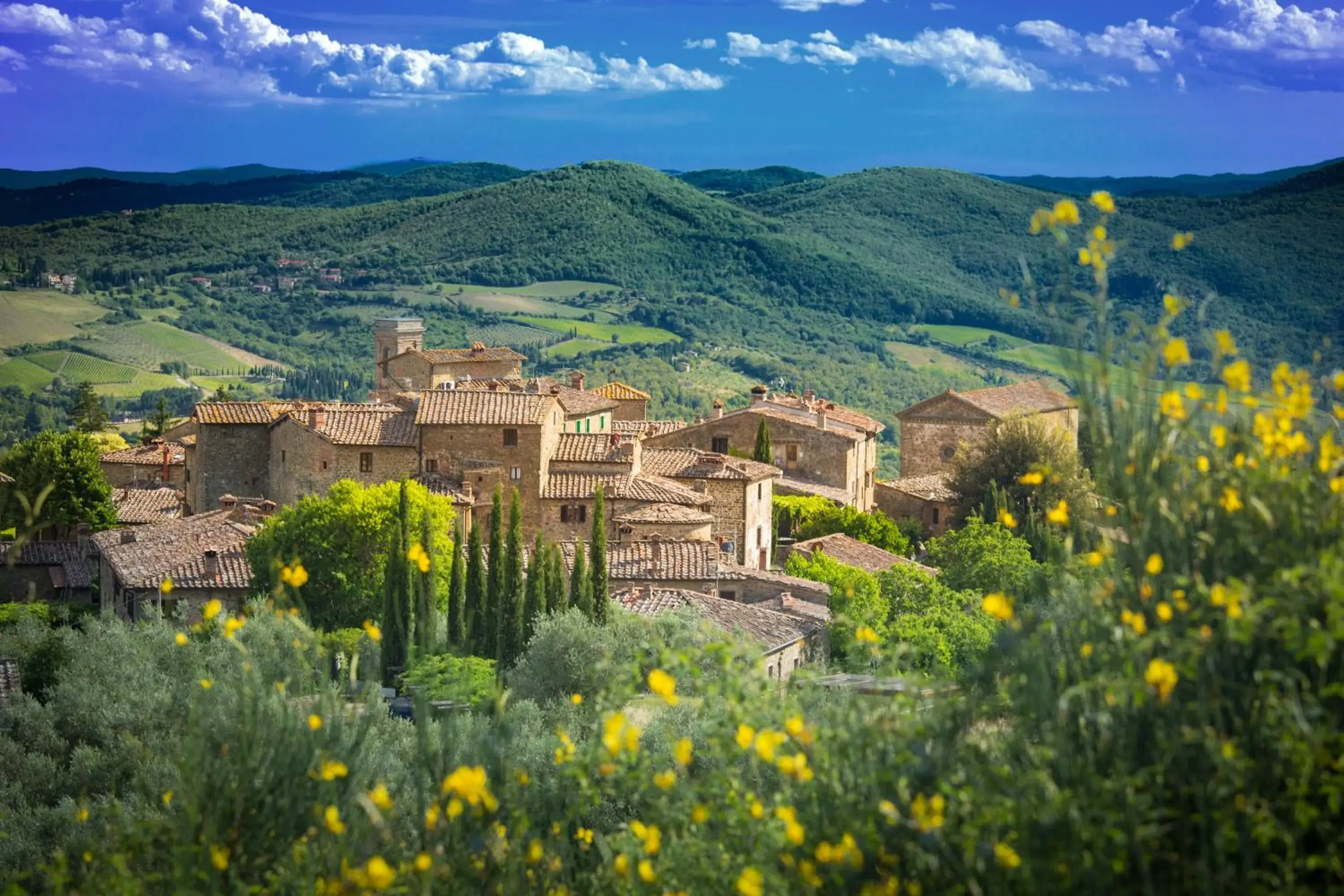 Castello di Volpaia Castello di Volpaia