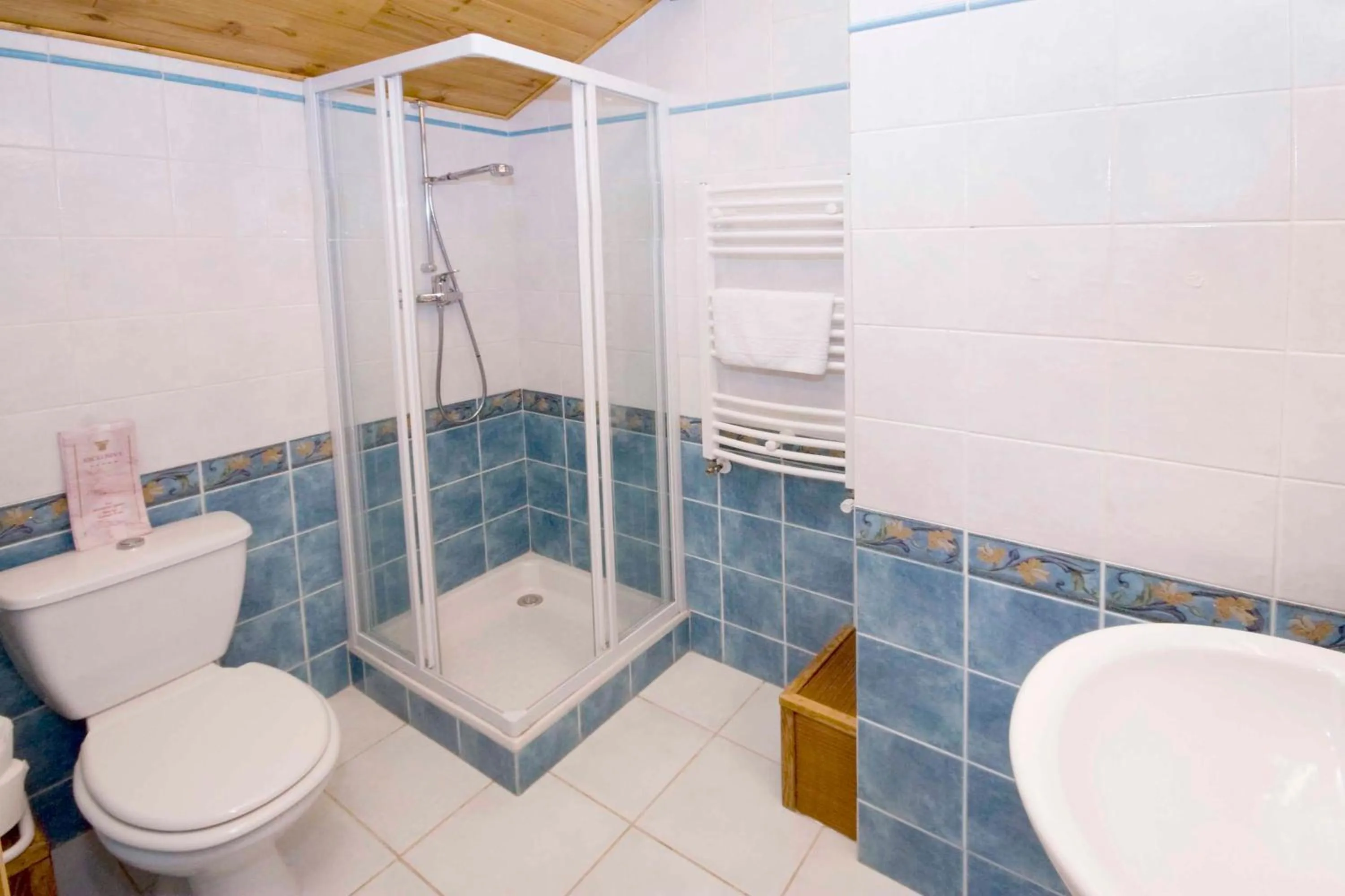 Bathroom in Hôtel Alpis Cottia