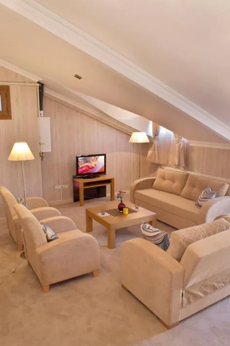 Seating area in The Bosphorus House