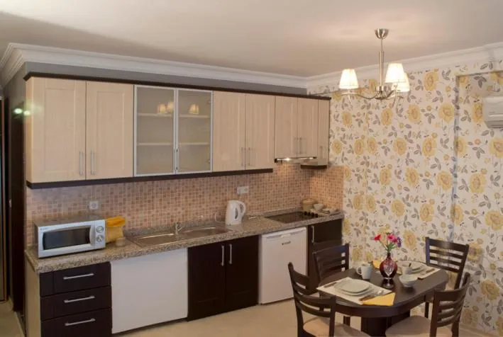 Kitchen or kitchenette in The Bosphorus House