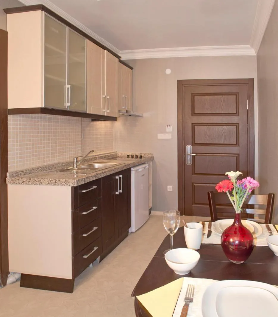 Kitchen or kitchenette in The Bosphorus House