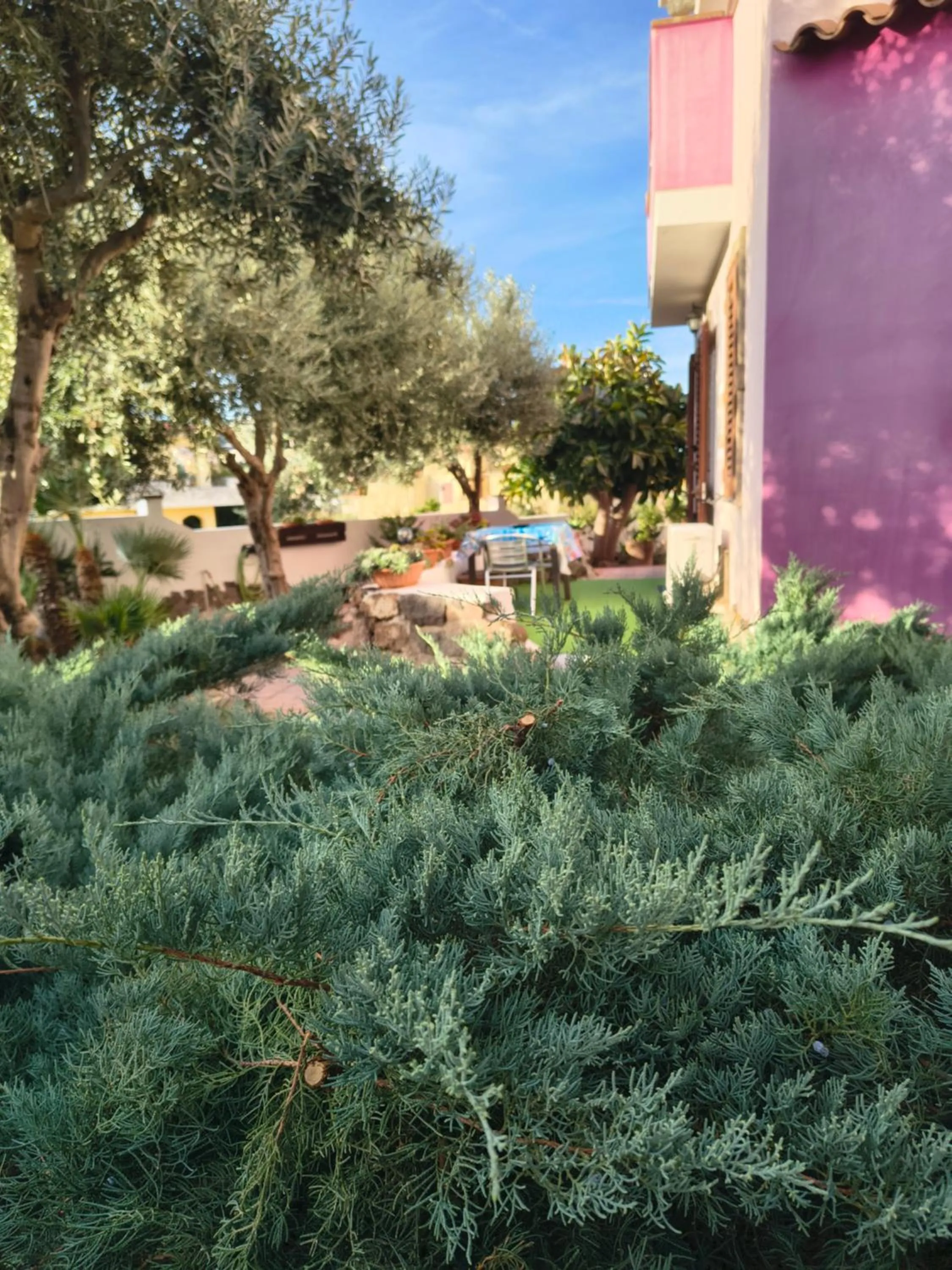 Garden view in La Fortezza casa vacanze & appartament