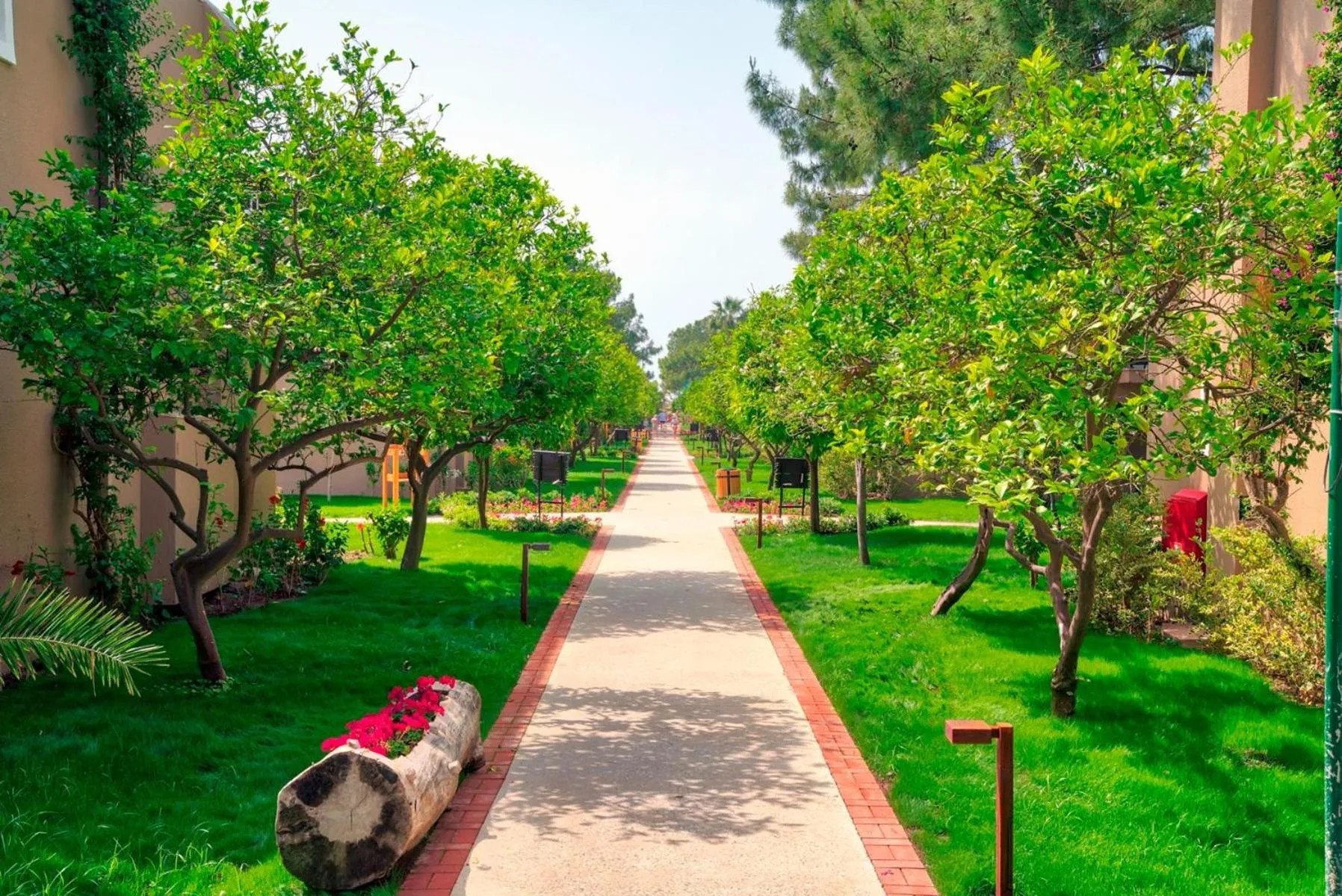 Garden in Pirates Beach Club -Ultra All Inclusive