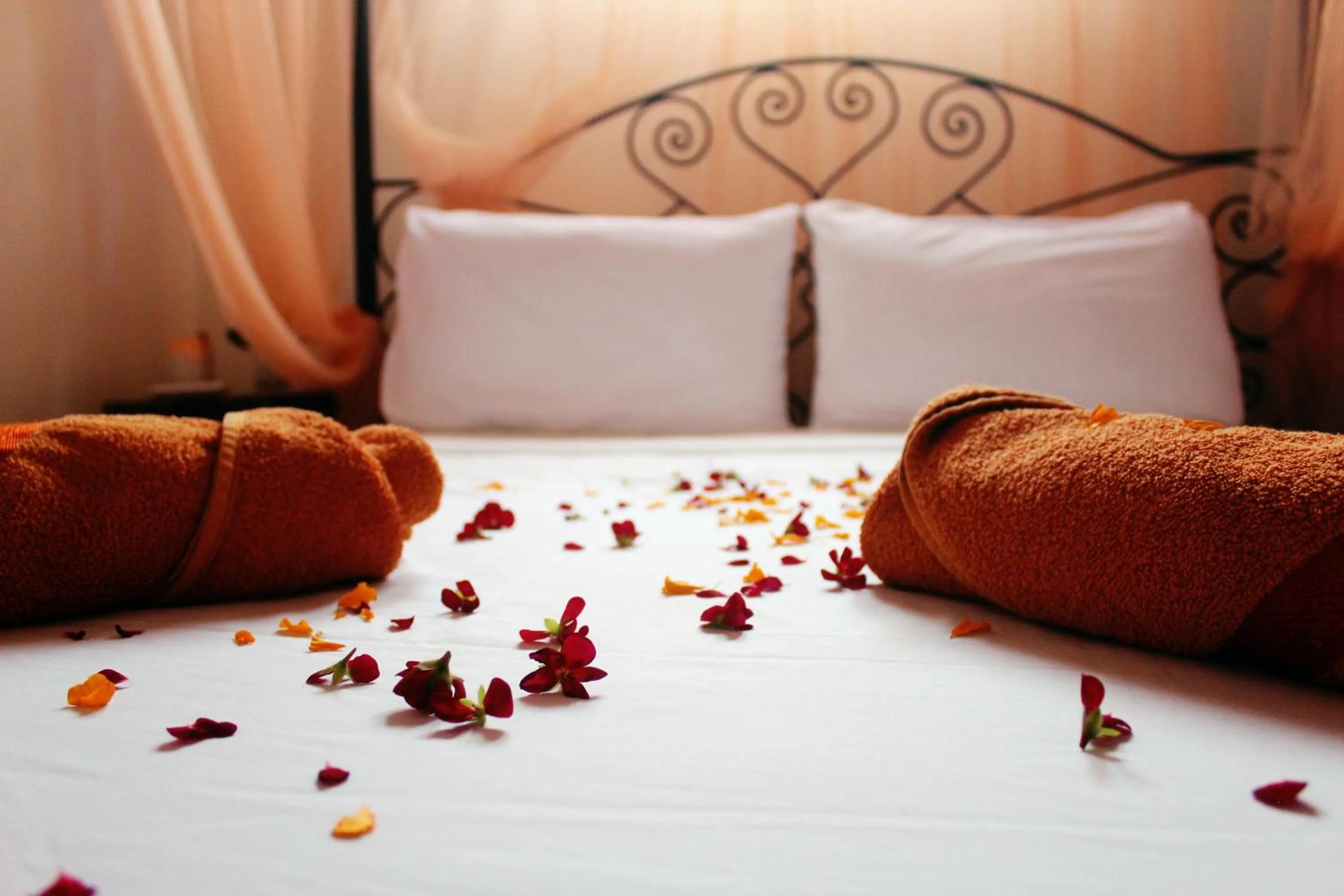 Standard Family Room in Dar Naima