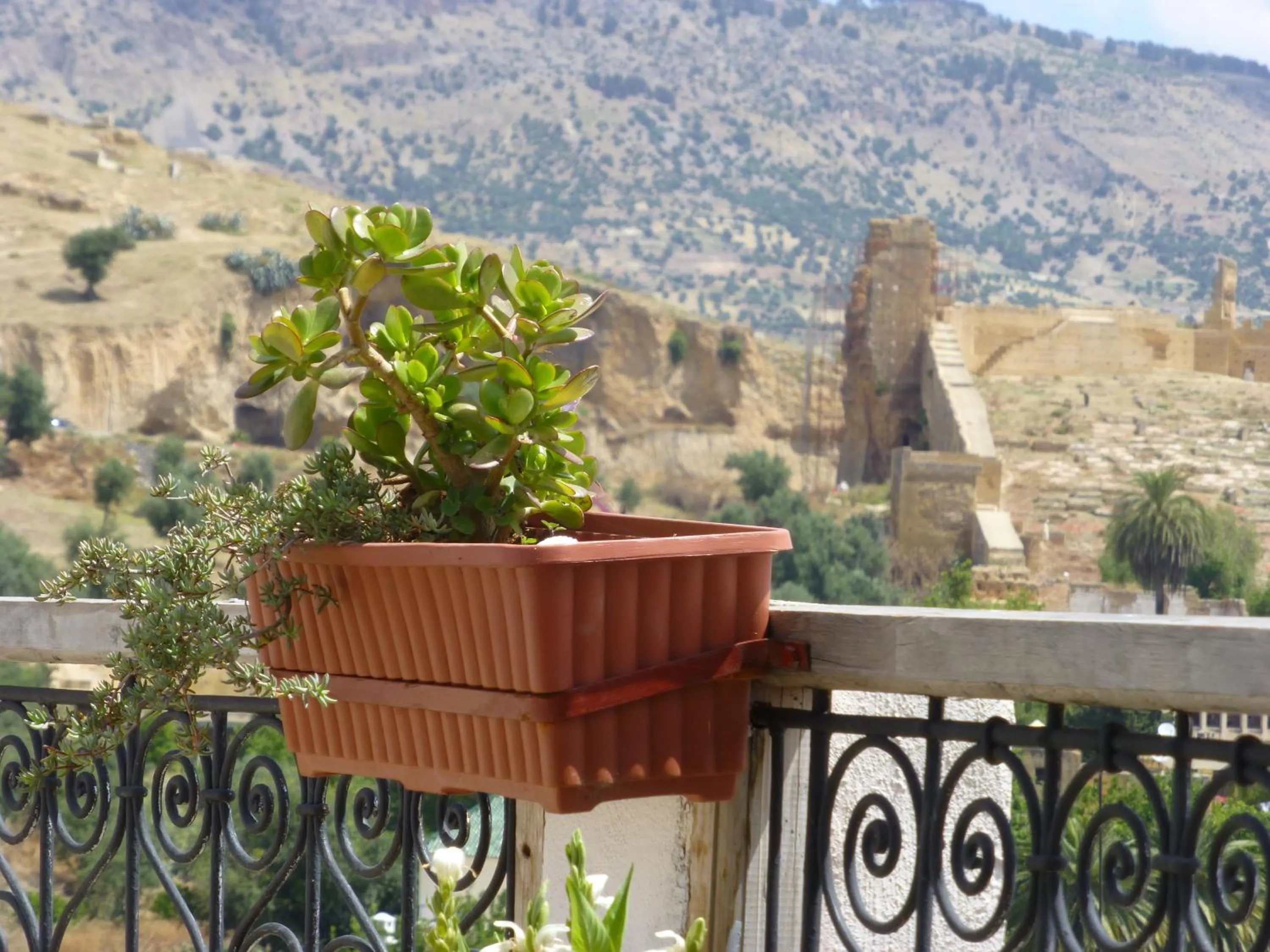 Bird's eye view in Dar Naima