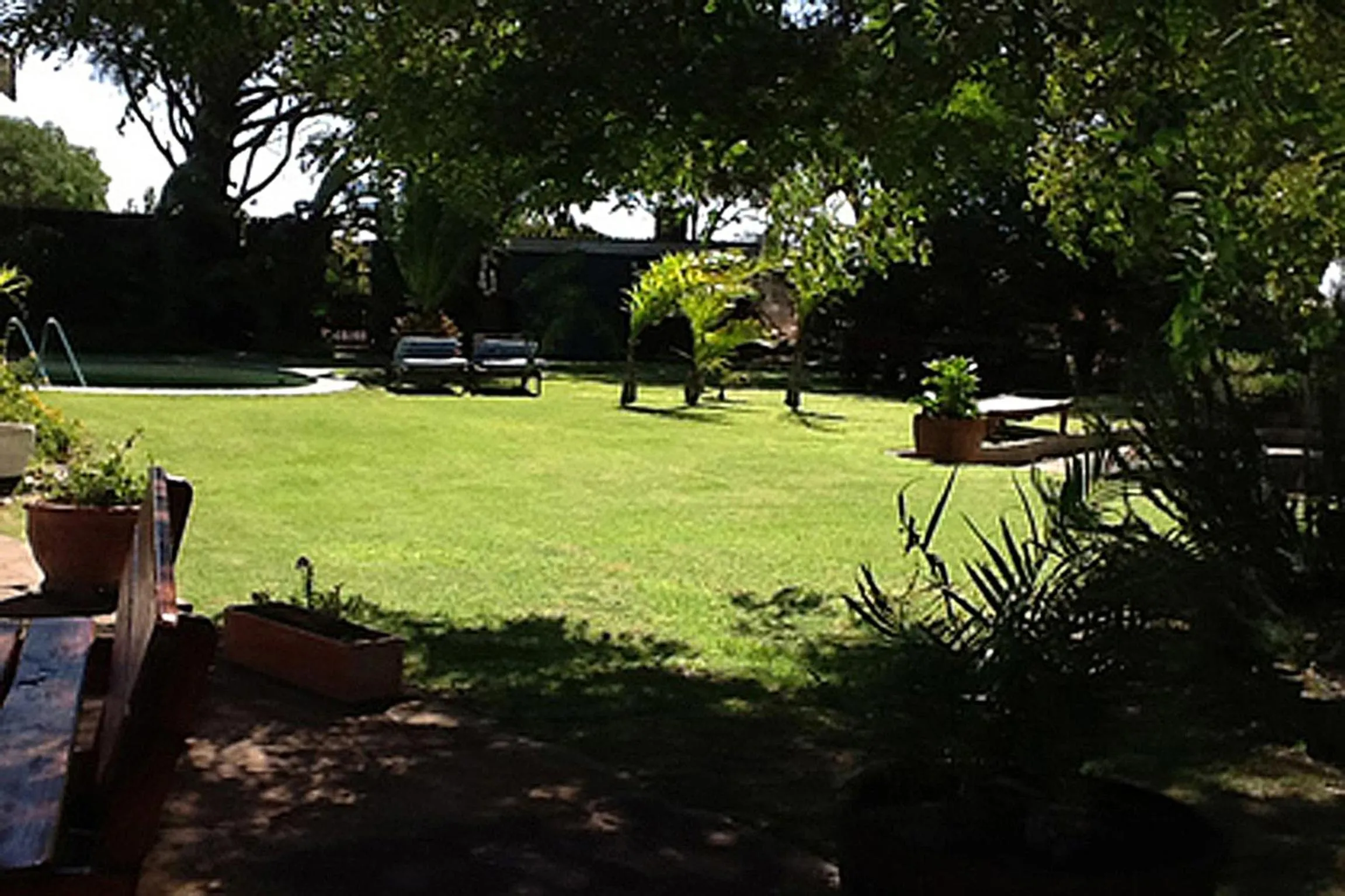 Garden in Goblin's Creek