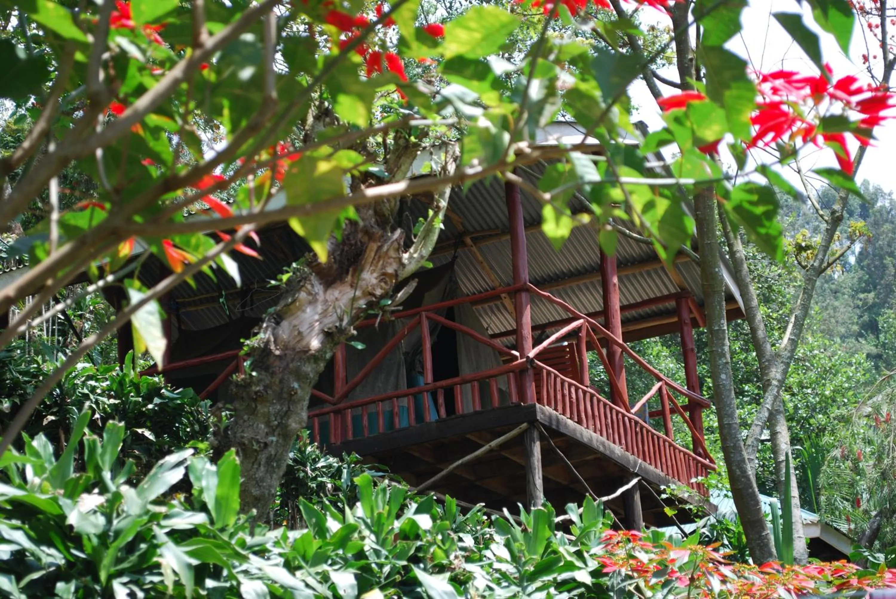 Crater Bay Cottages