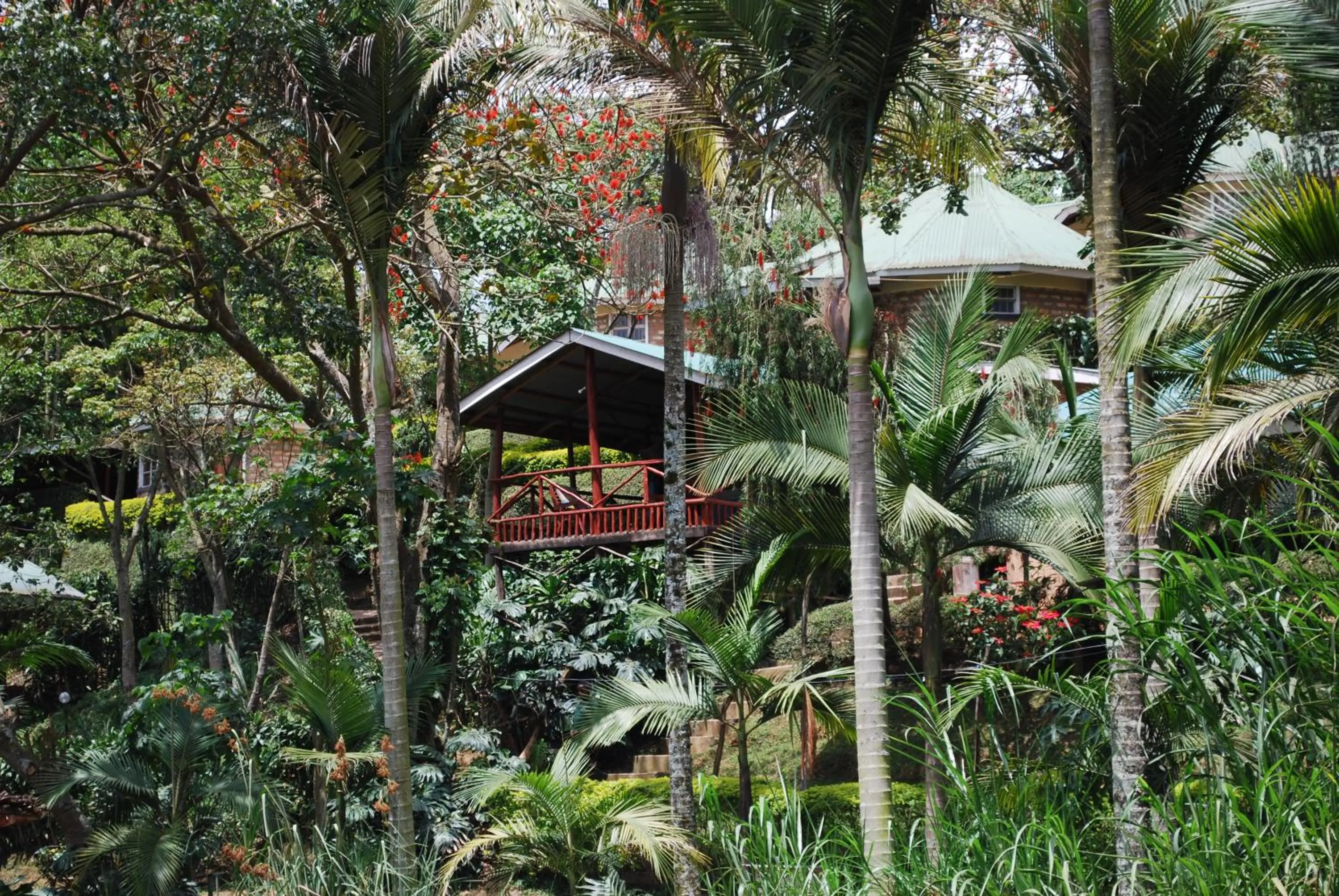 Crater Bay Cottages