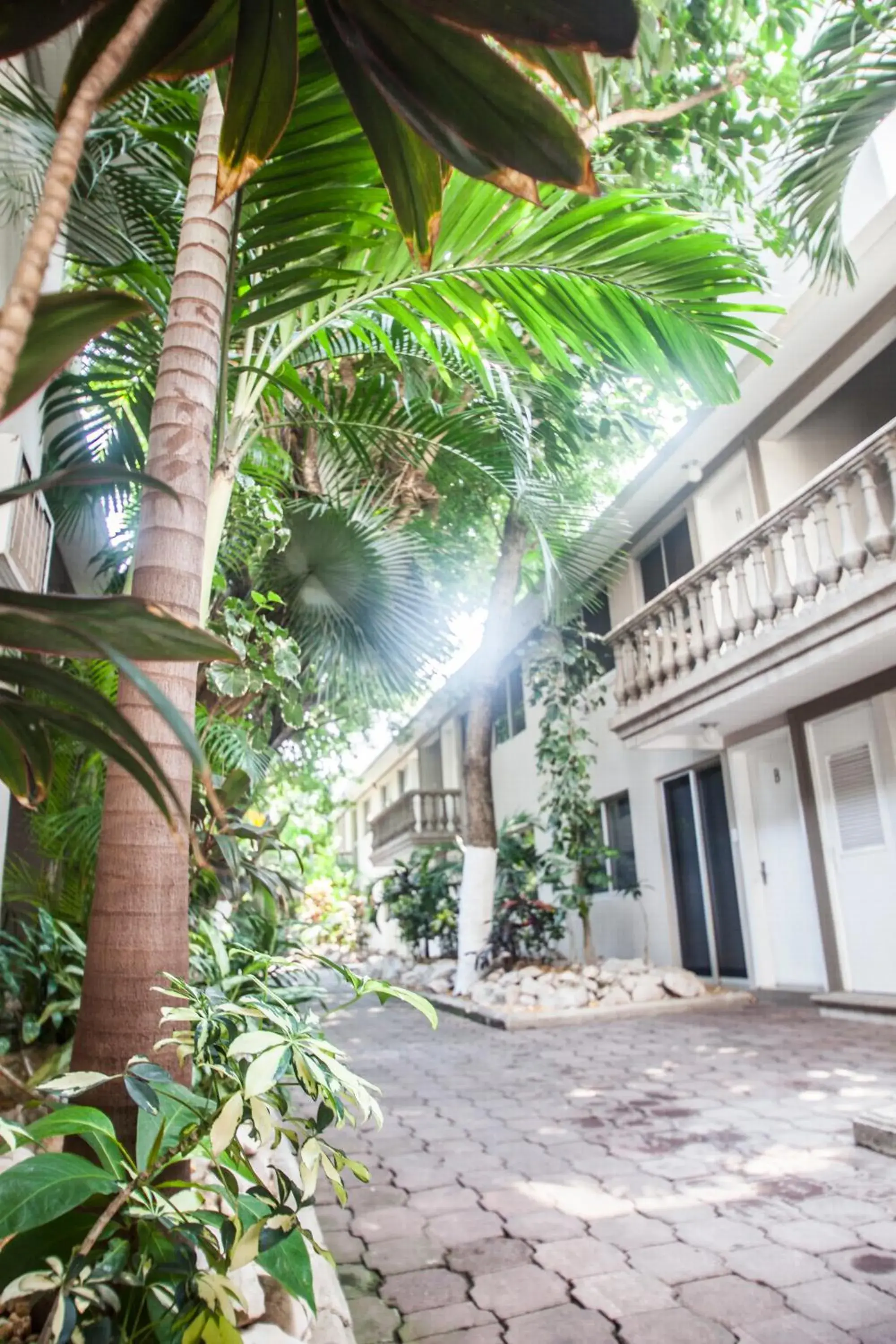 Suites Lafragua Suites Lafragua