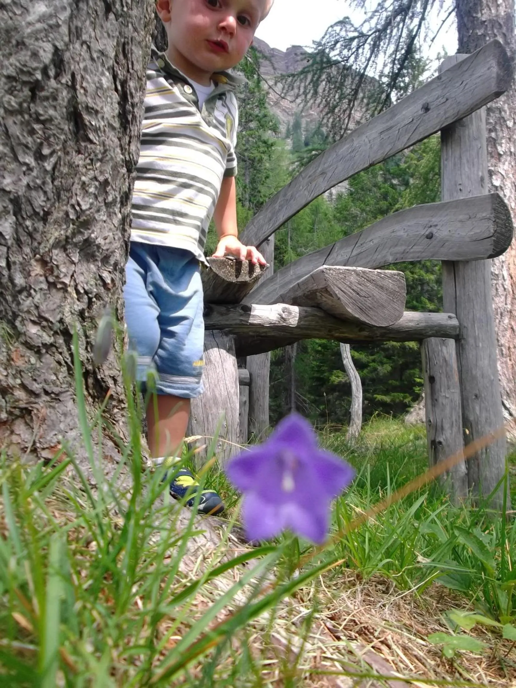 Hiking in Hotel Garni Suisse