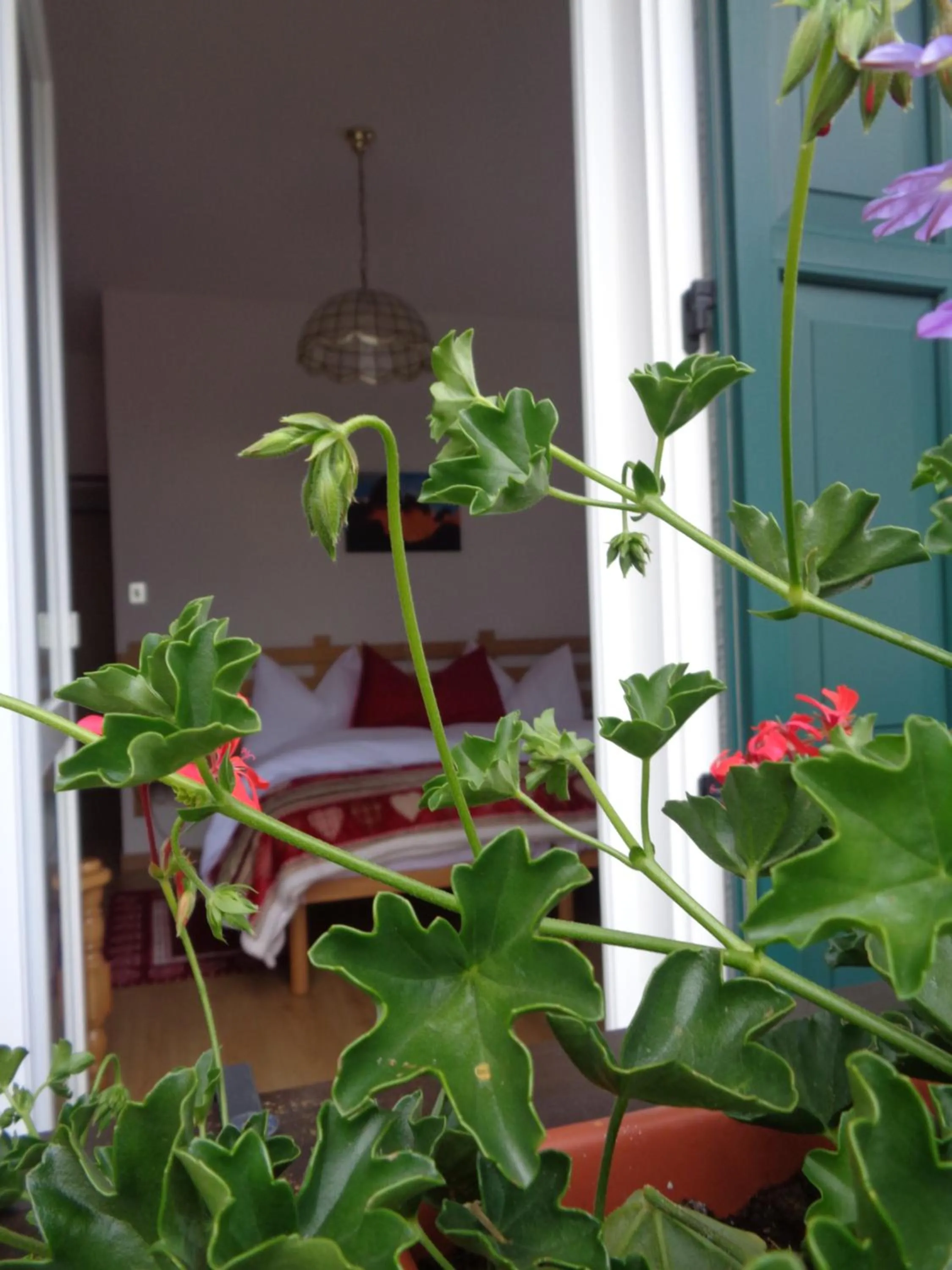 Bedroom in Hotel Garni Suisse