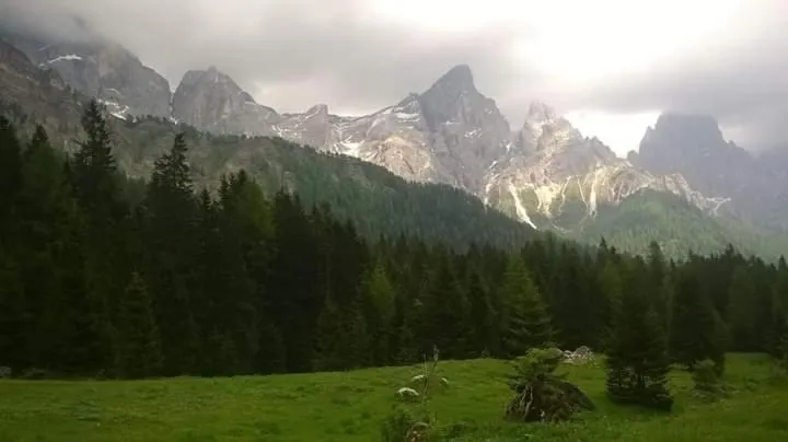 Natural landscape in Hotel Garni Suisse