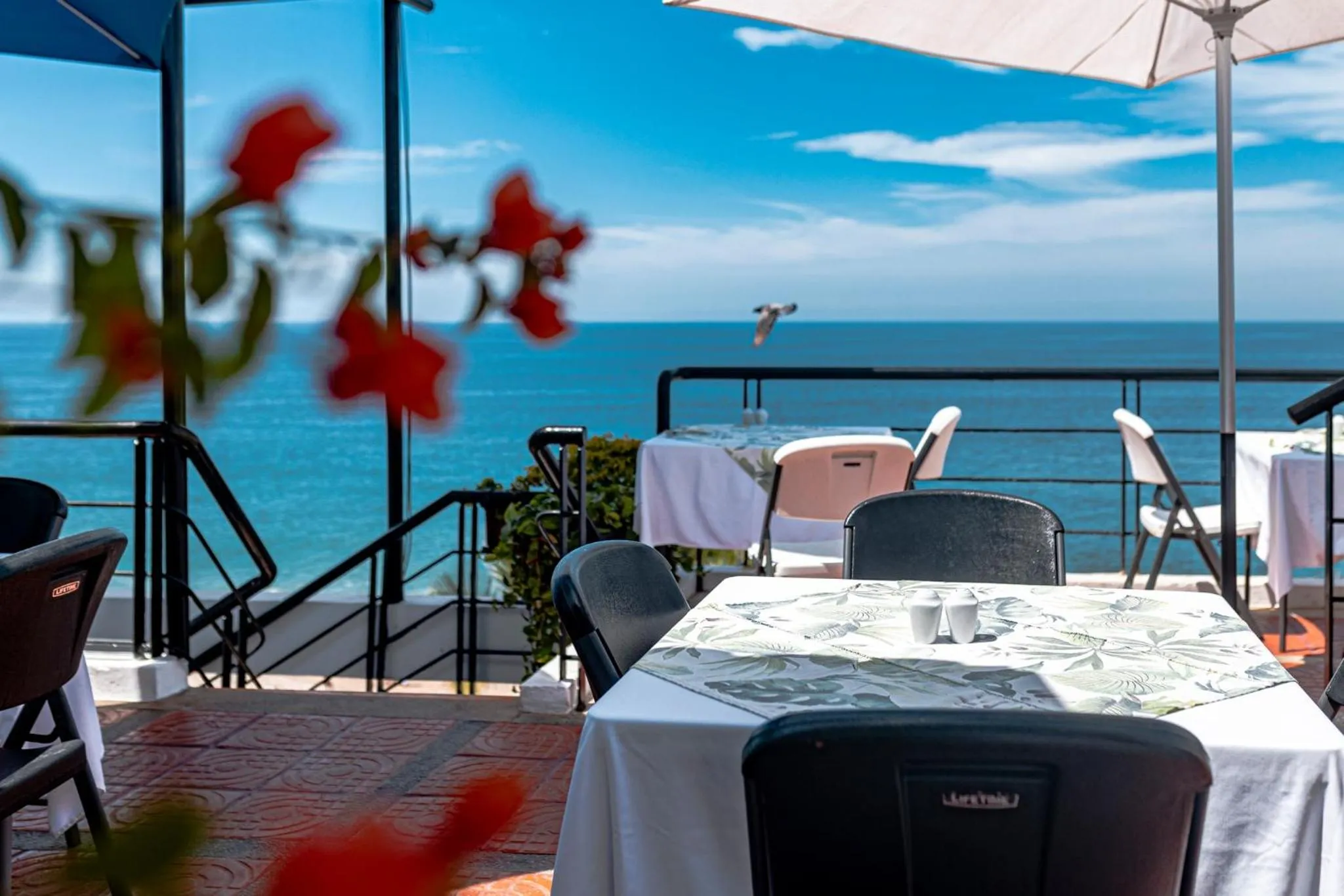 Sea view in Hotel Suites Nadia Puerto Vallarta