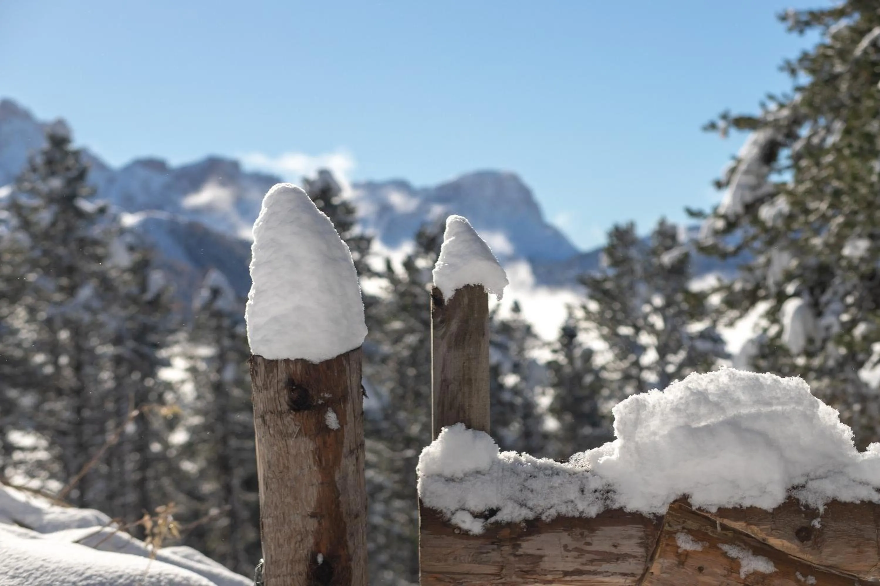 Natural landscape in Residence Alpenrose