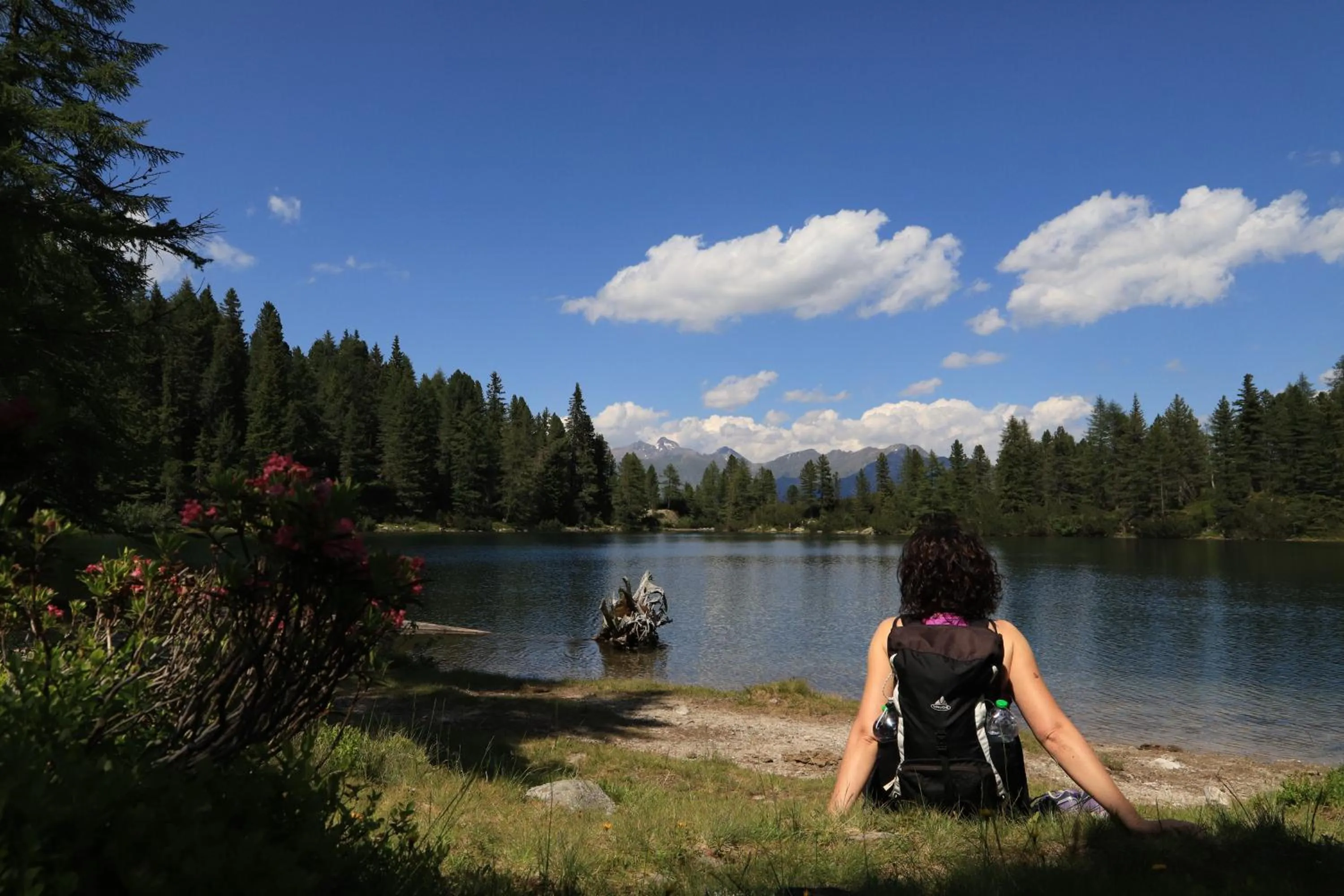 Summer in Residence Alpenrose