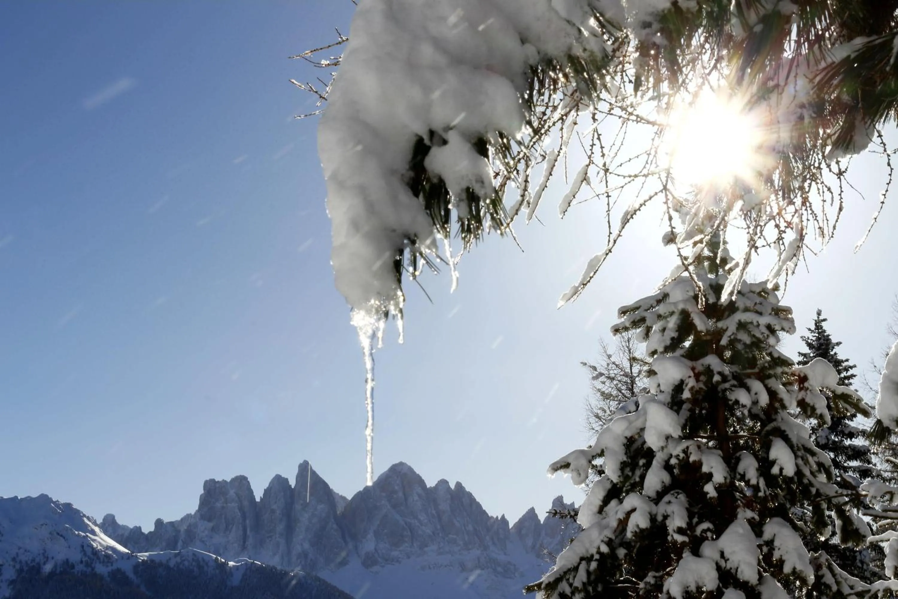 Off site in Residence Alpenrose