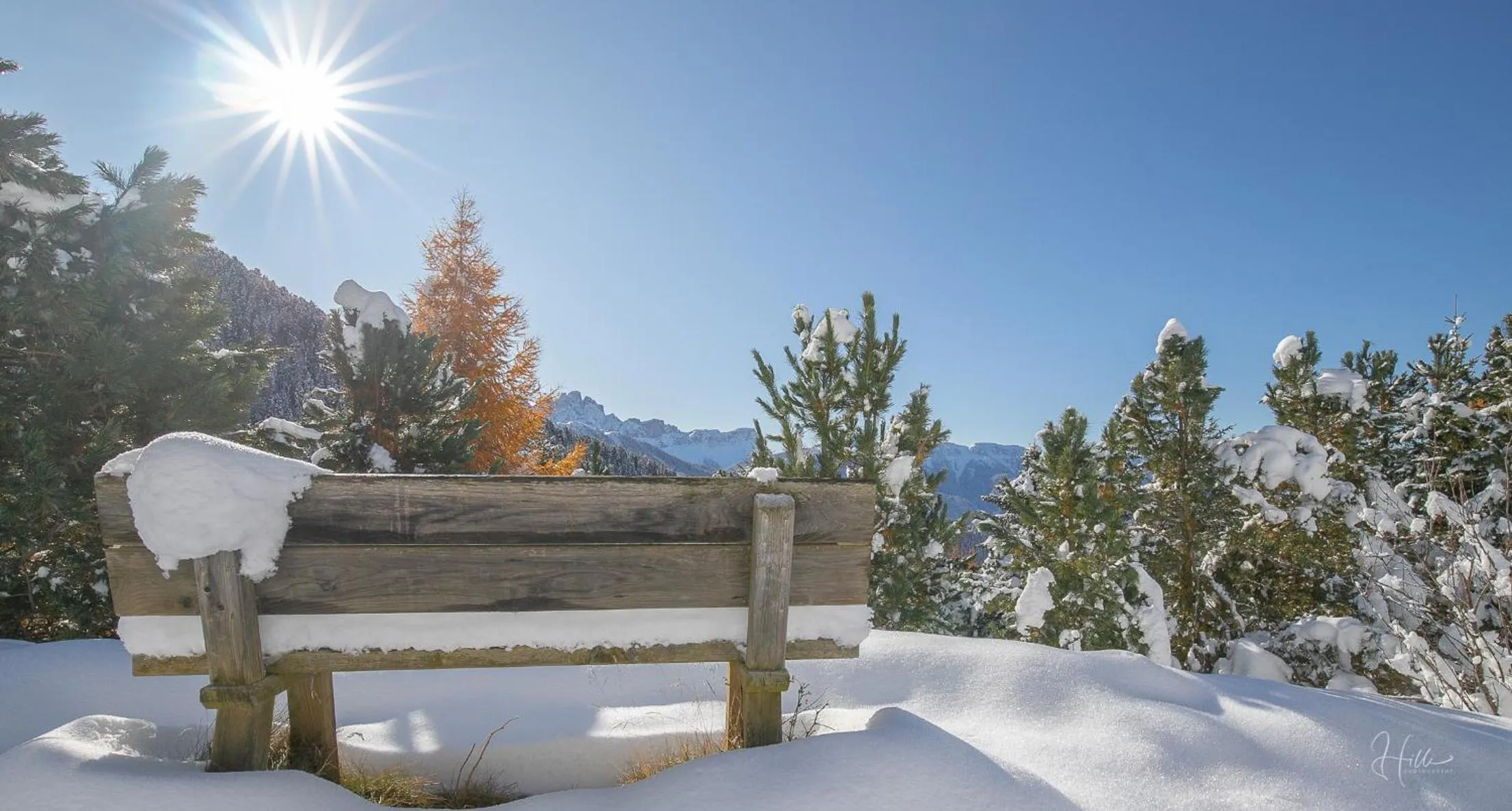 Winter in Residence Alpenrose