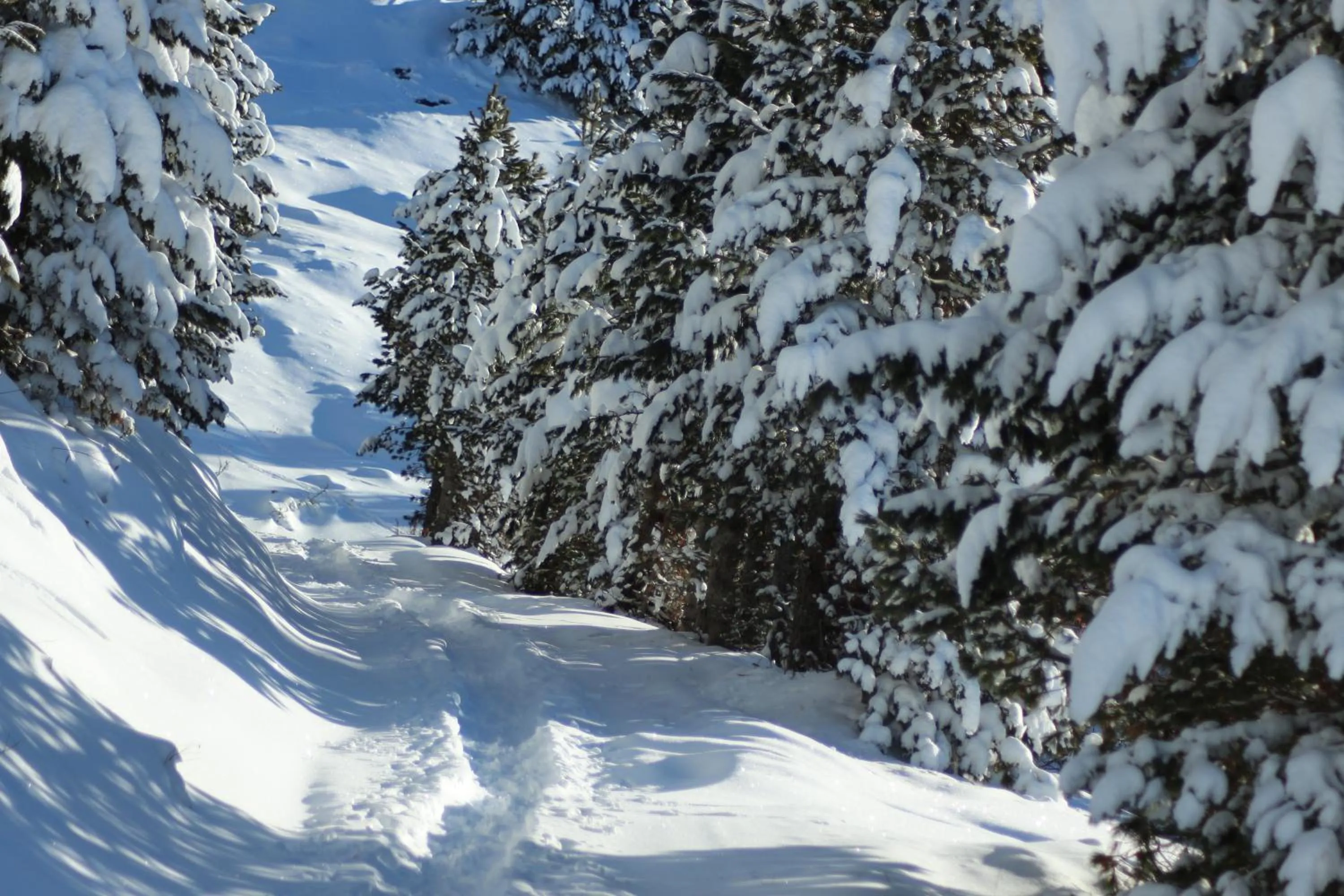 Off site in Residence Alpenrose