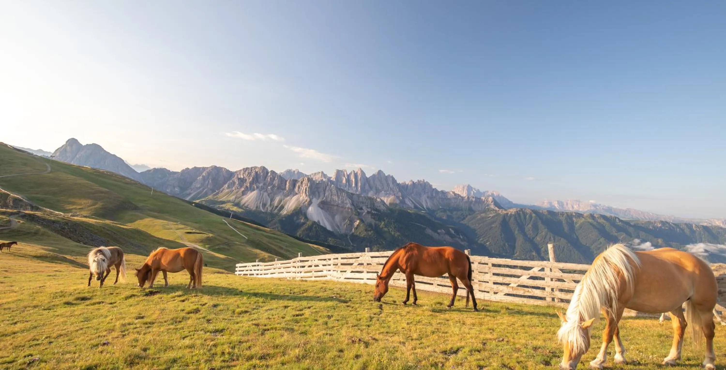 Animals in Residence Alpenrose