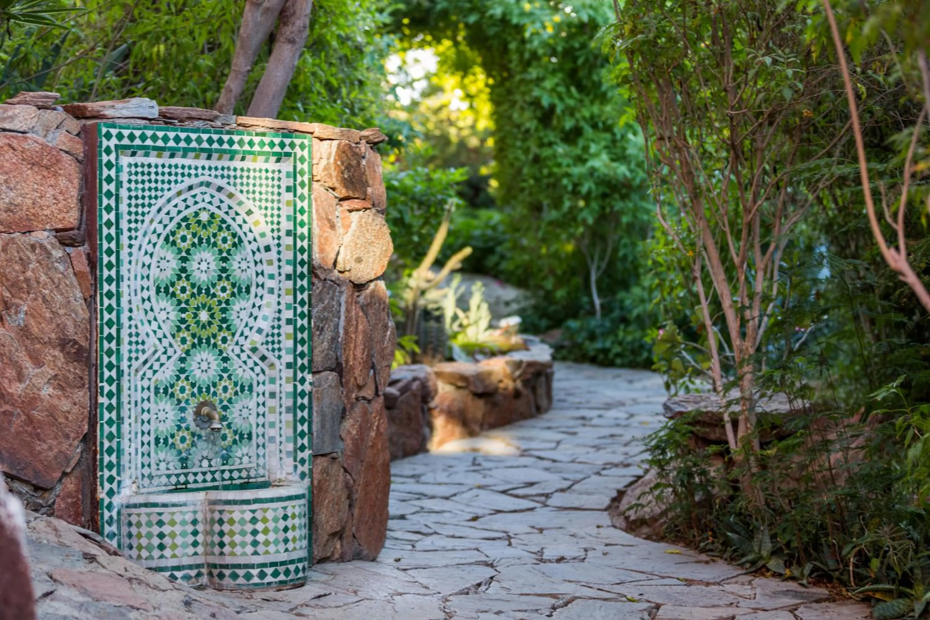 Garden in Los Colibris Casitas