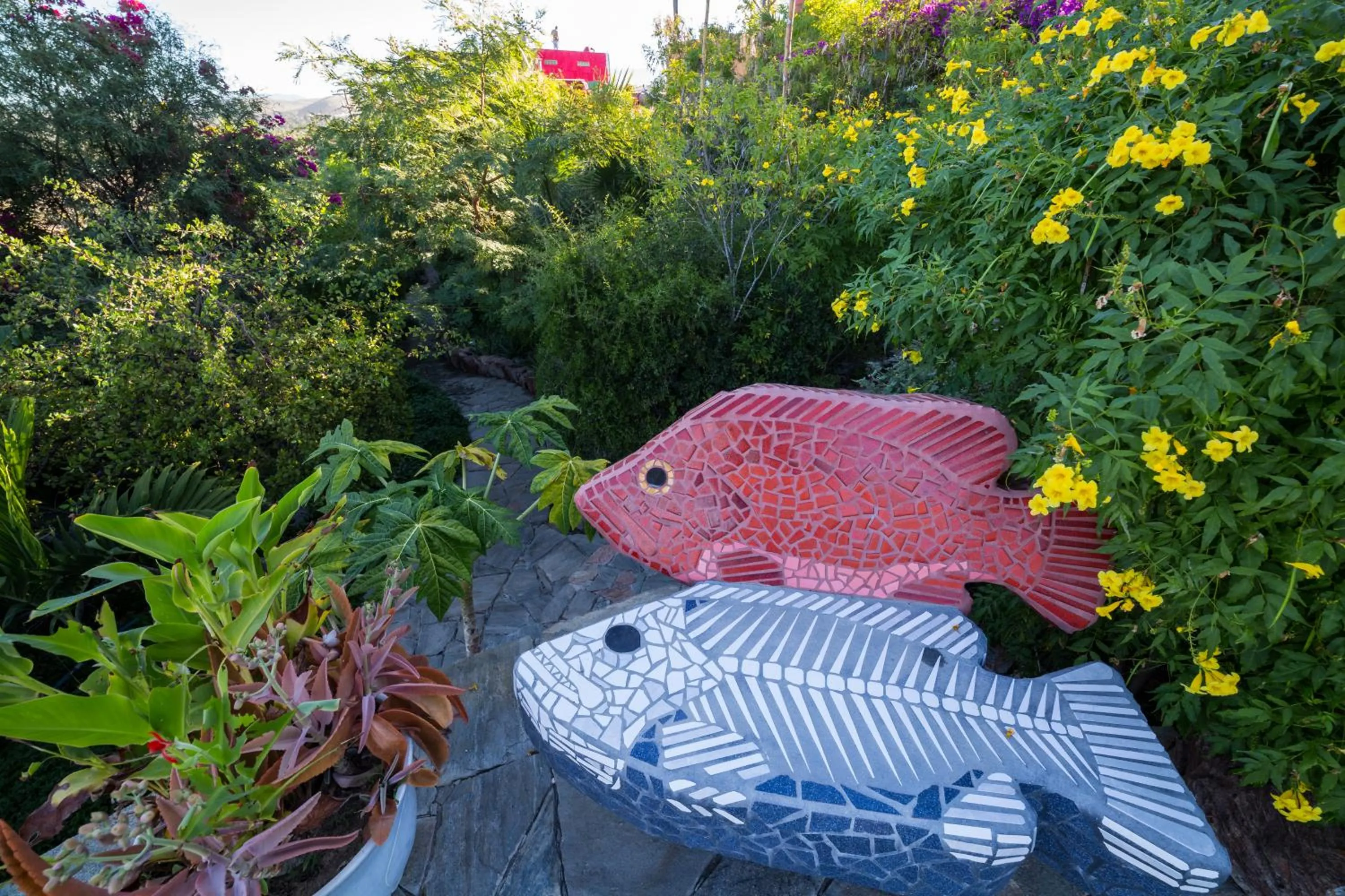 Garden in Los Colibris Casitas