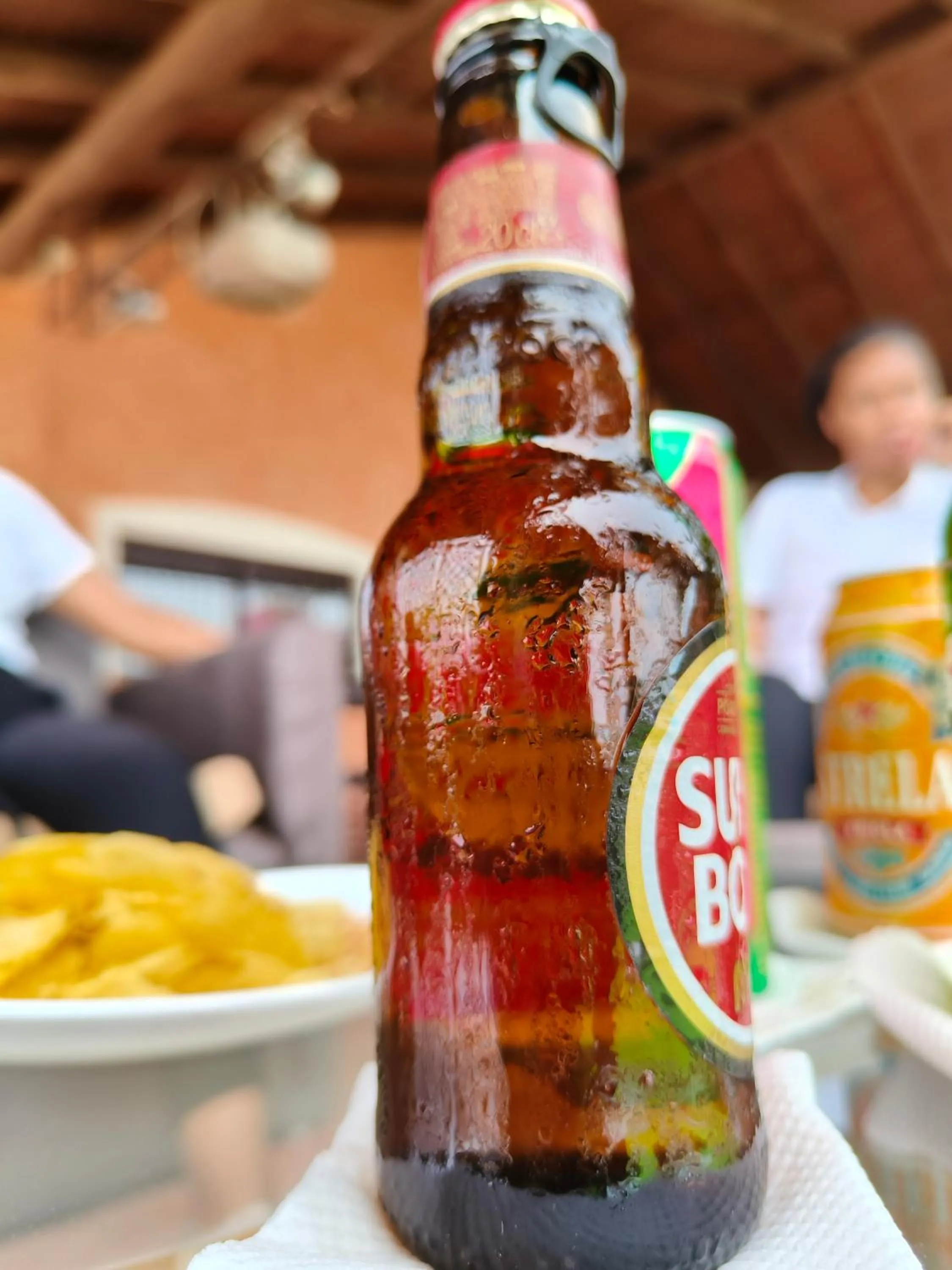 Lounge or bar in Pombas Brancas Resort