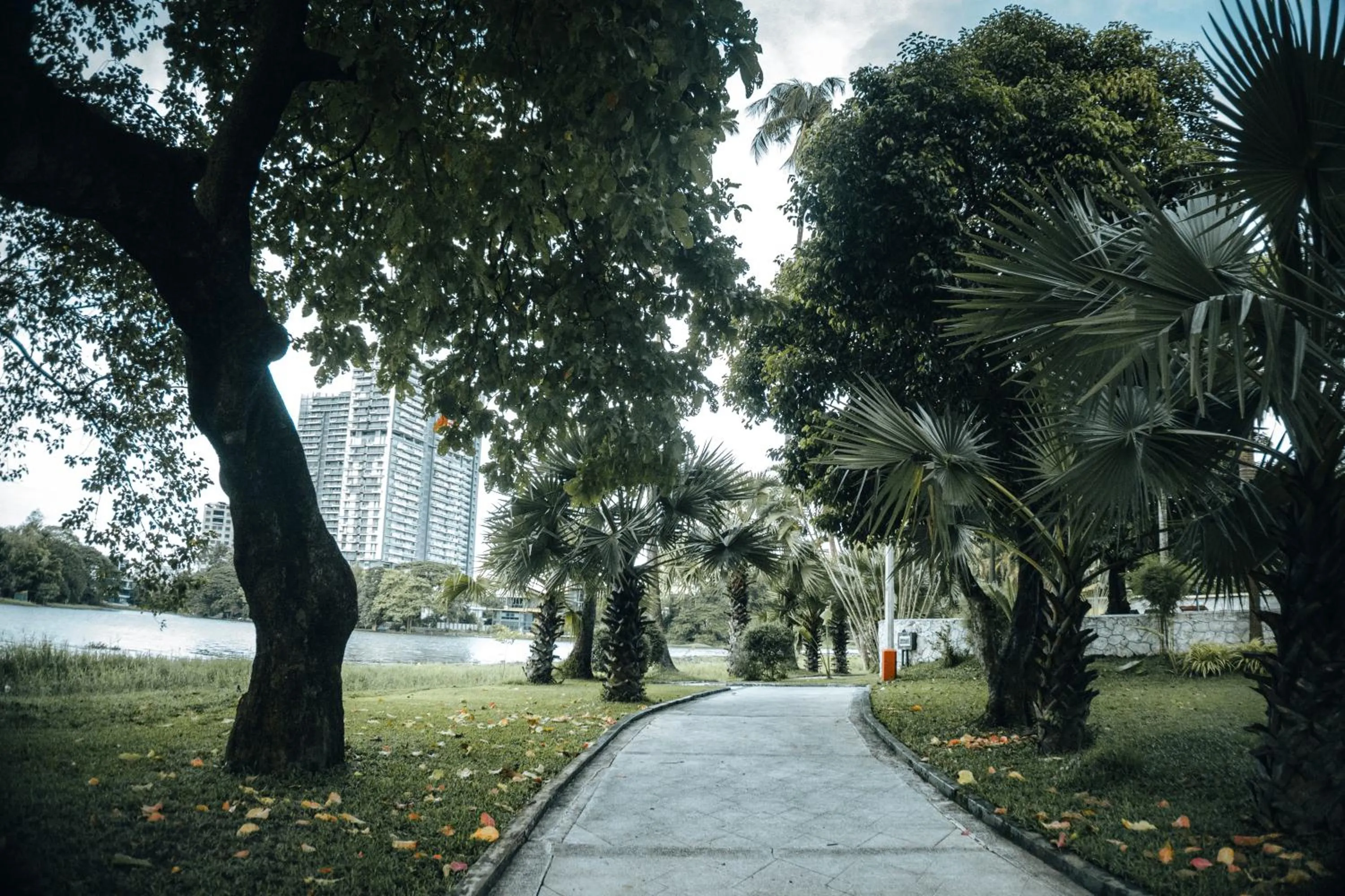 Natural landscape in Inya Lake Hotel Yangon