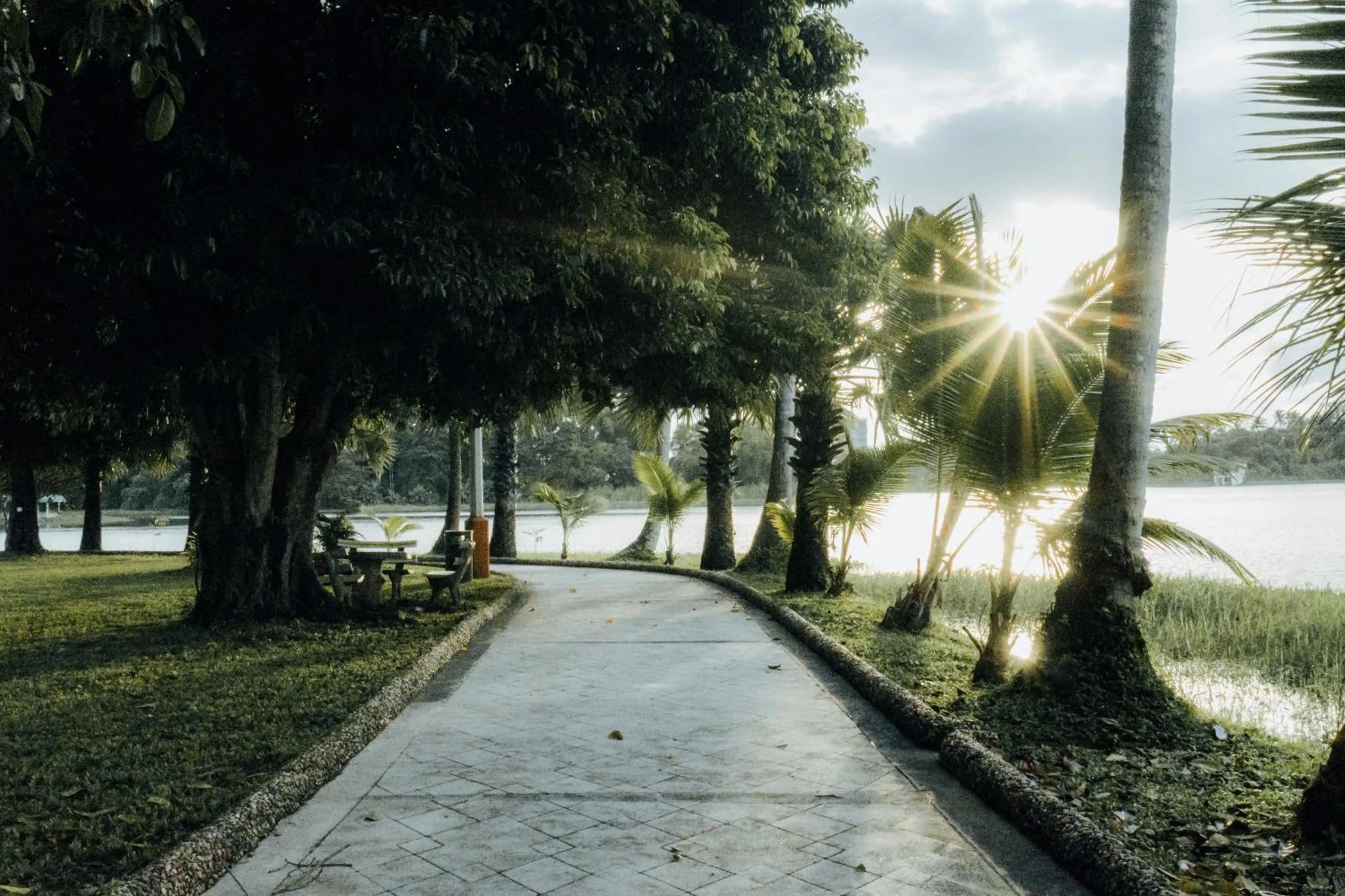 Natural landscape in Inya Lake Hotel Yangon